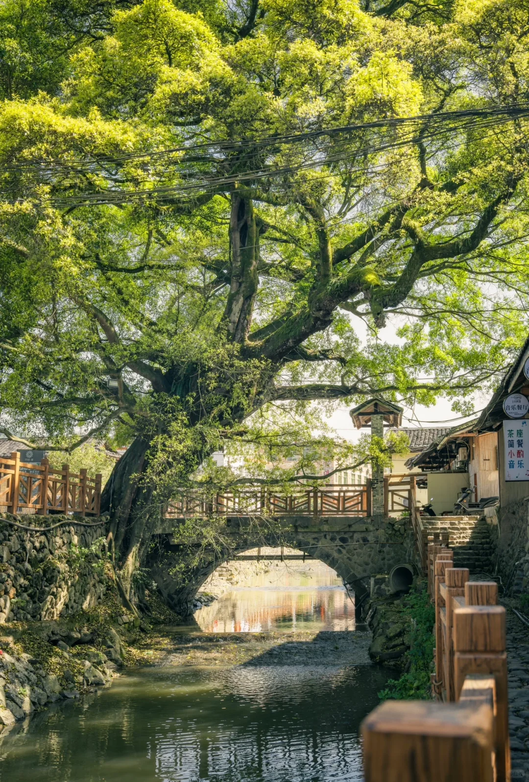 比起厦门我更爱这座6️⃣0️⃣0️⃣年历史的古镇