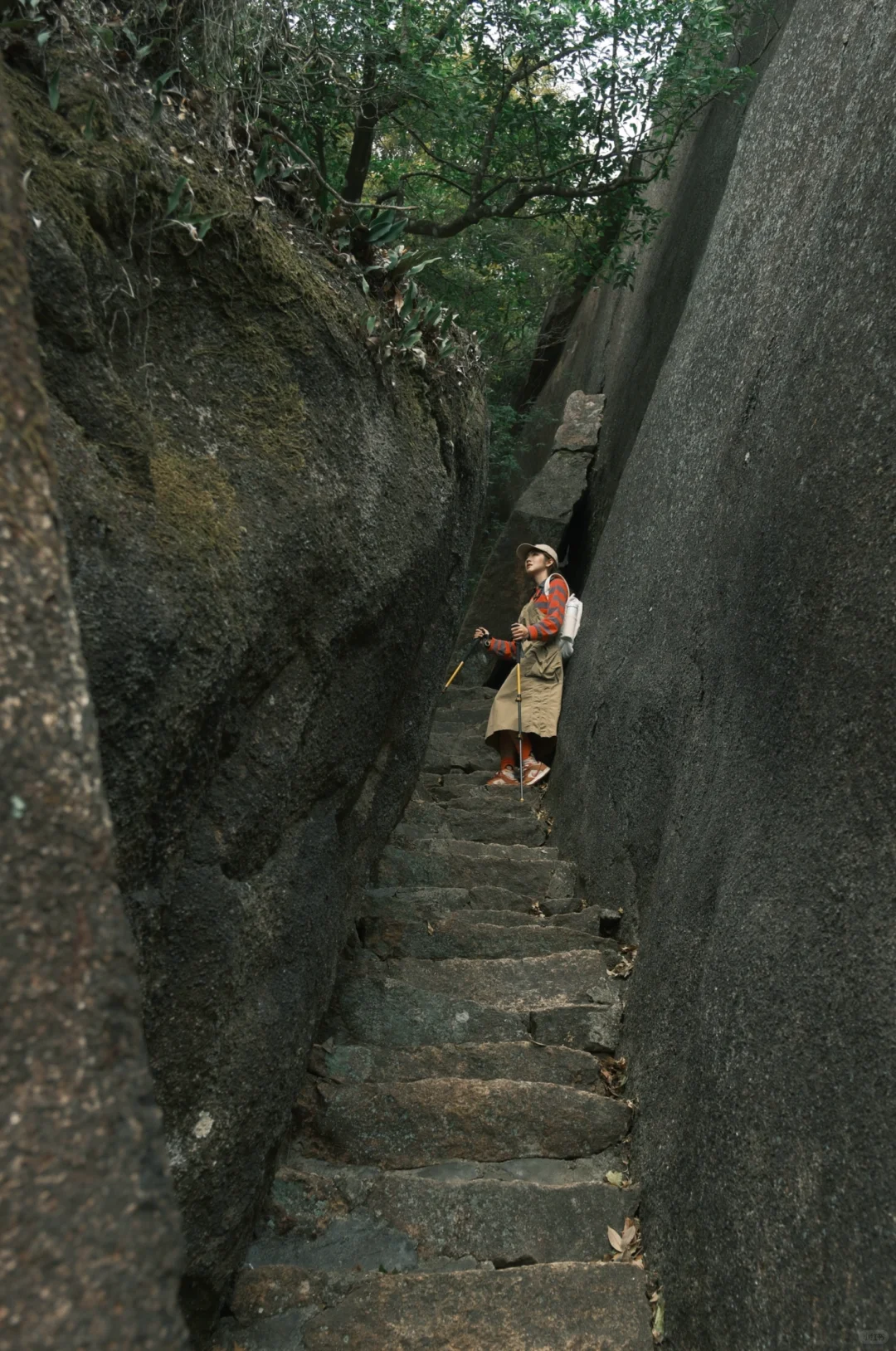 深圳📍 藏在森林的古塔秘境，仅1%知道