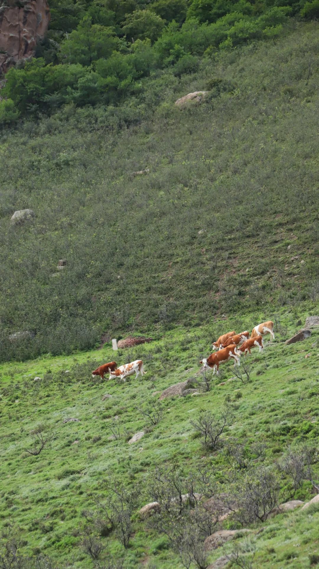 突然火爆的大青山 成为今年北京户外圈压轴