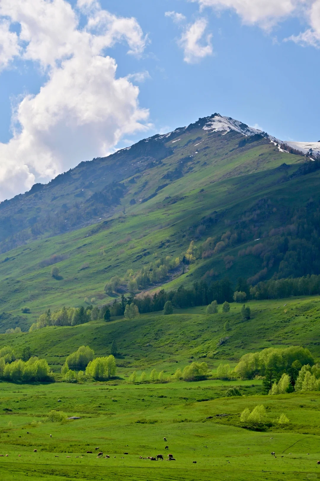 新疆北疆大环线旅游 02| 禾木村游玩攻略！