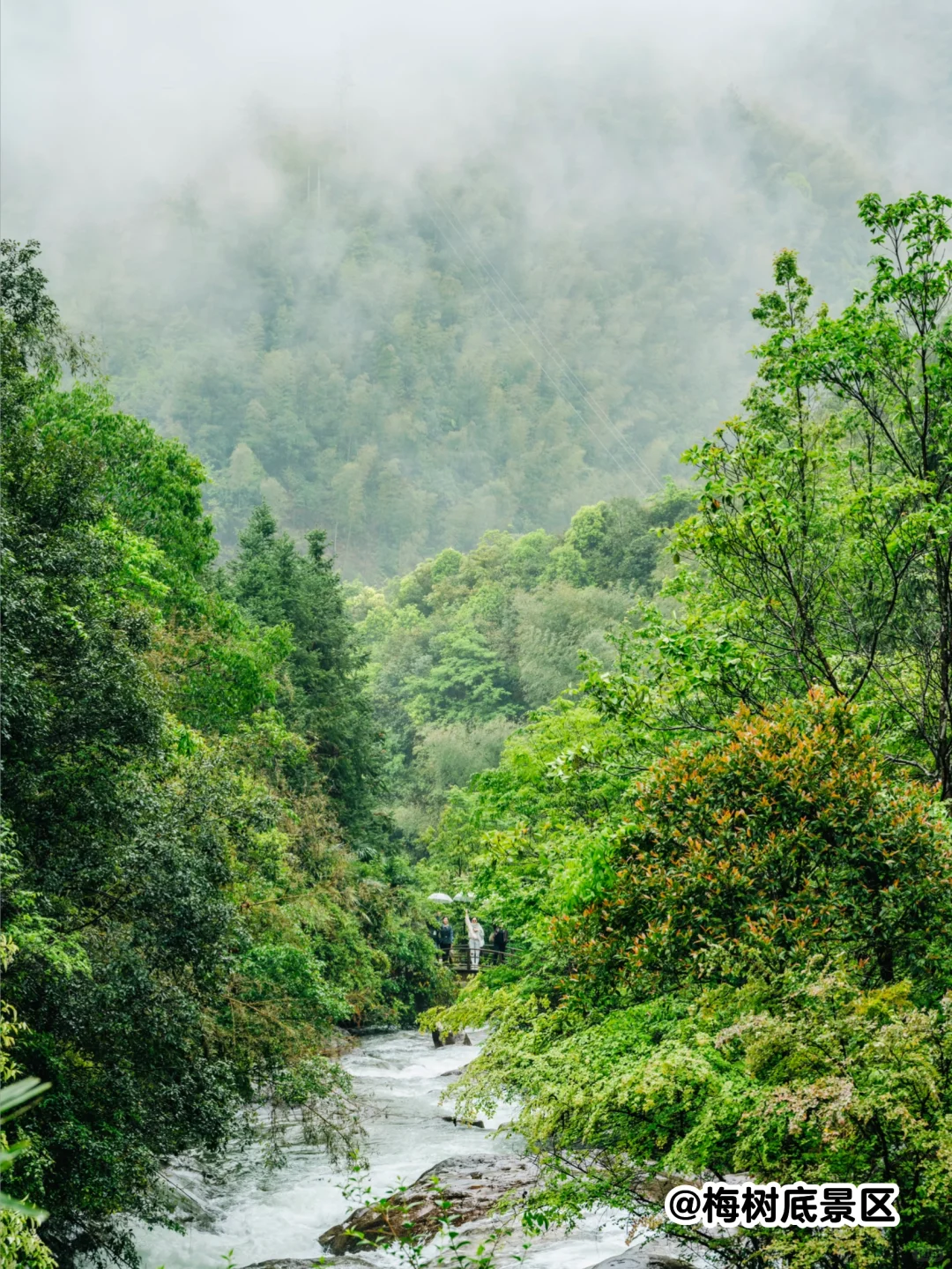 美哭了😭不愧是《国家地理》推荐的江南秘境