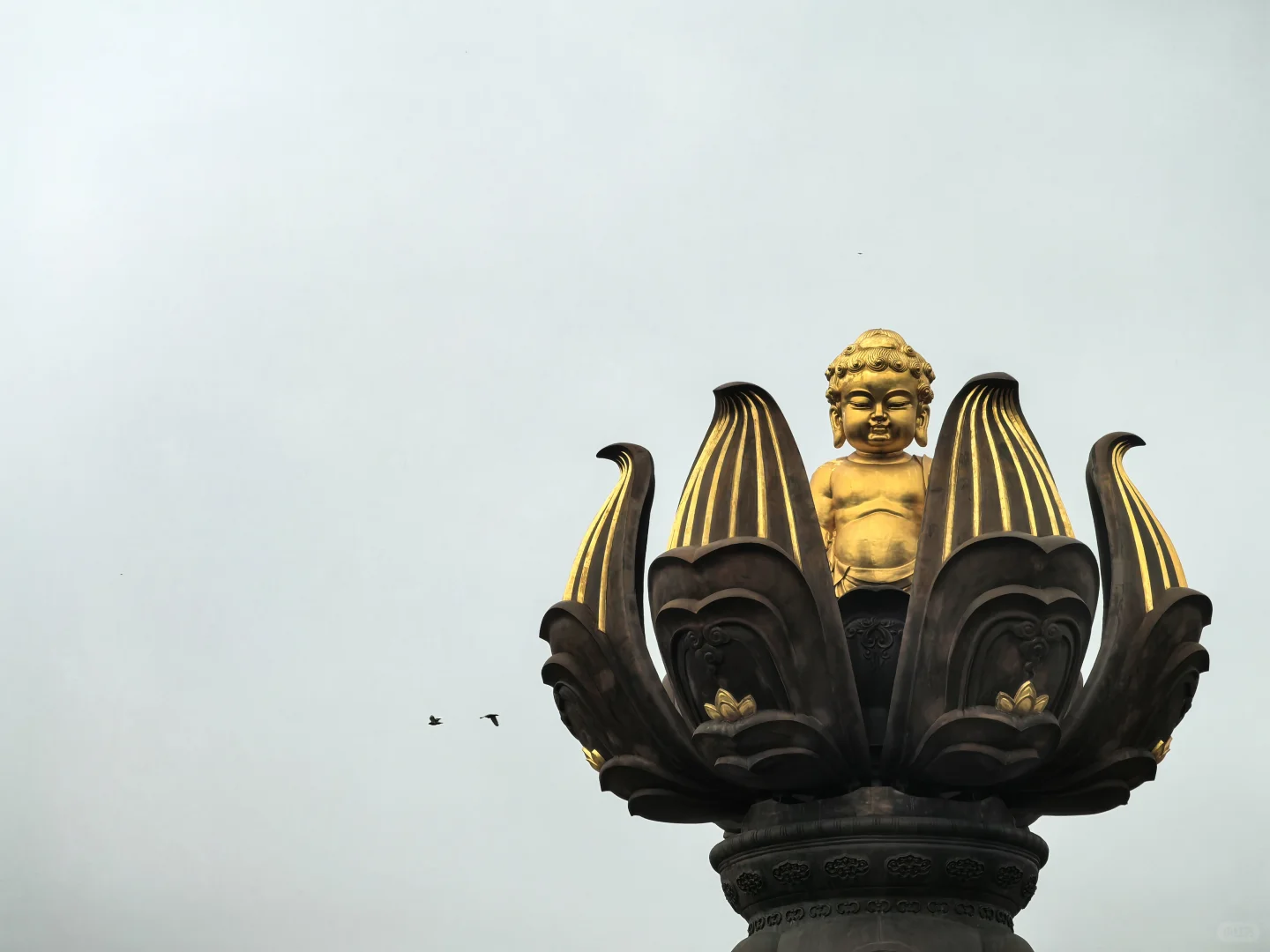 无锡最值得去的地方!!很震撼