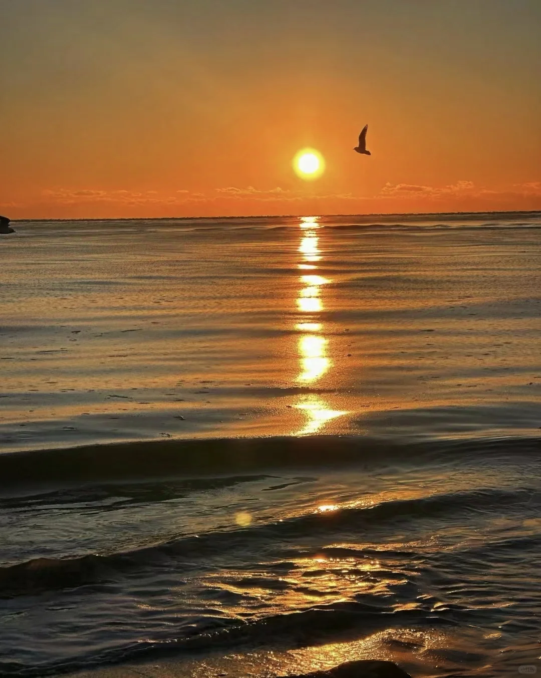 秦皇岛宝藏旅游攻略 | 北方海滨度假天堂