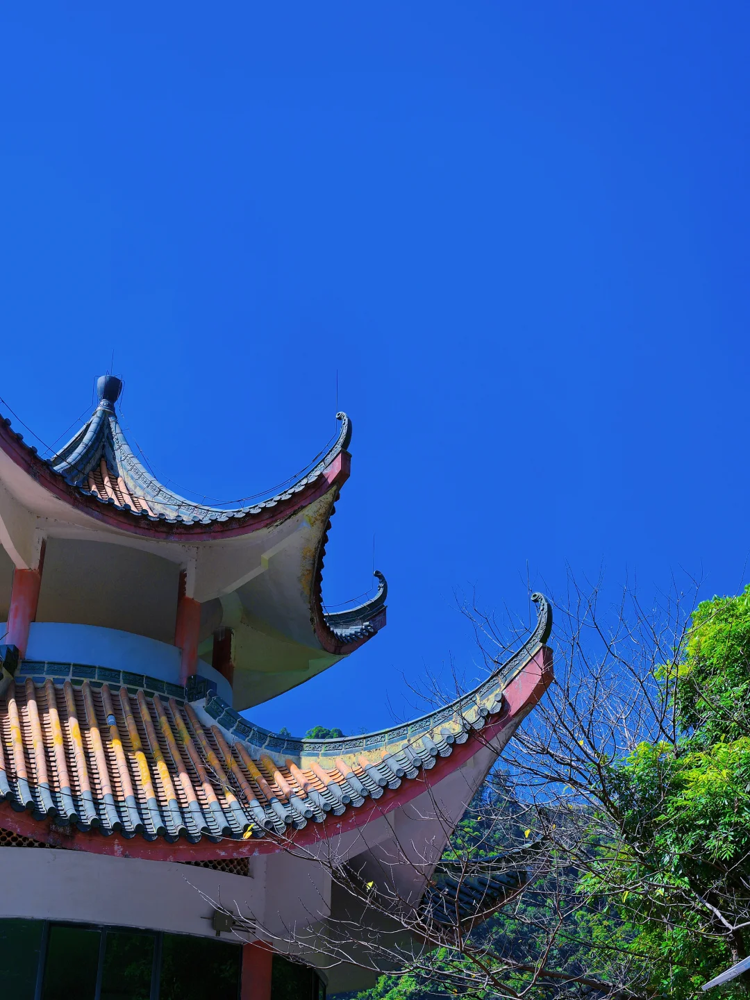 肇庆鼎湖山真的美到我心巴上了（省钱攻略！）