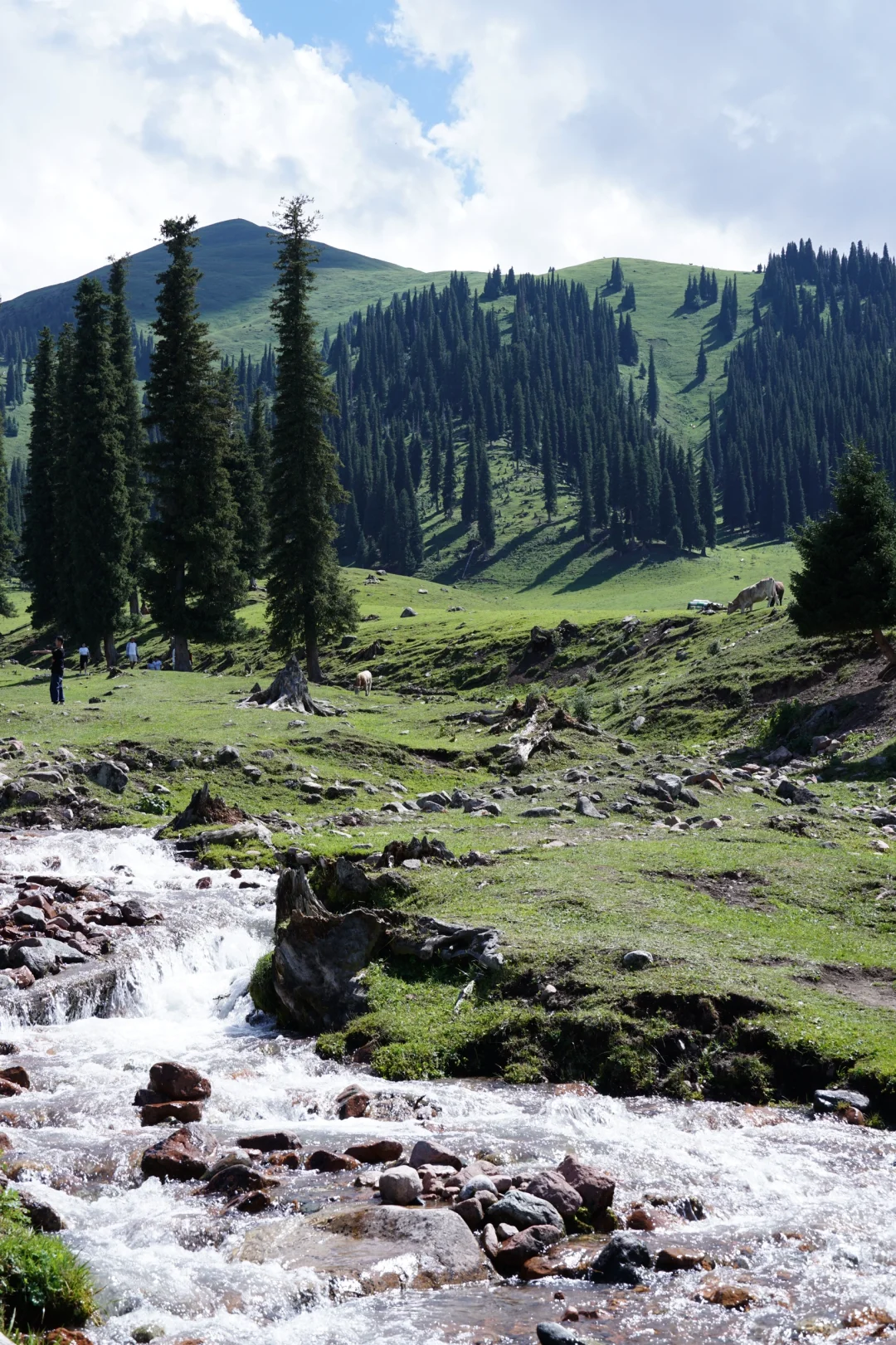 伊犁草原真没必要去太多