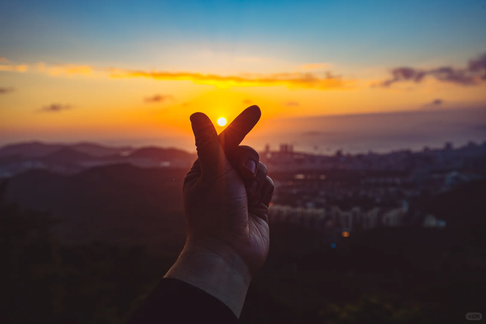 端午&六一省钱攻略，学生党、打工人速码！