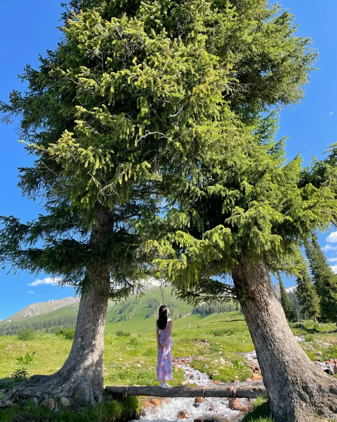 实话难听,但这就是新疆旅游真实现状😥