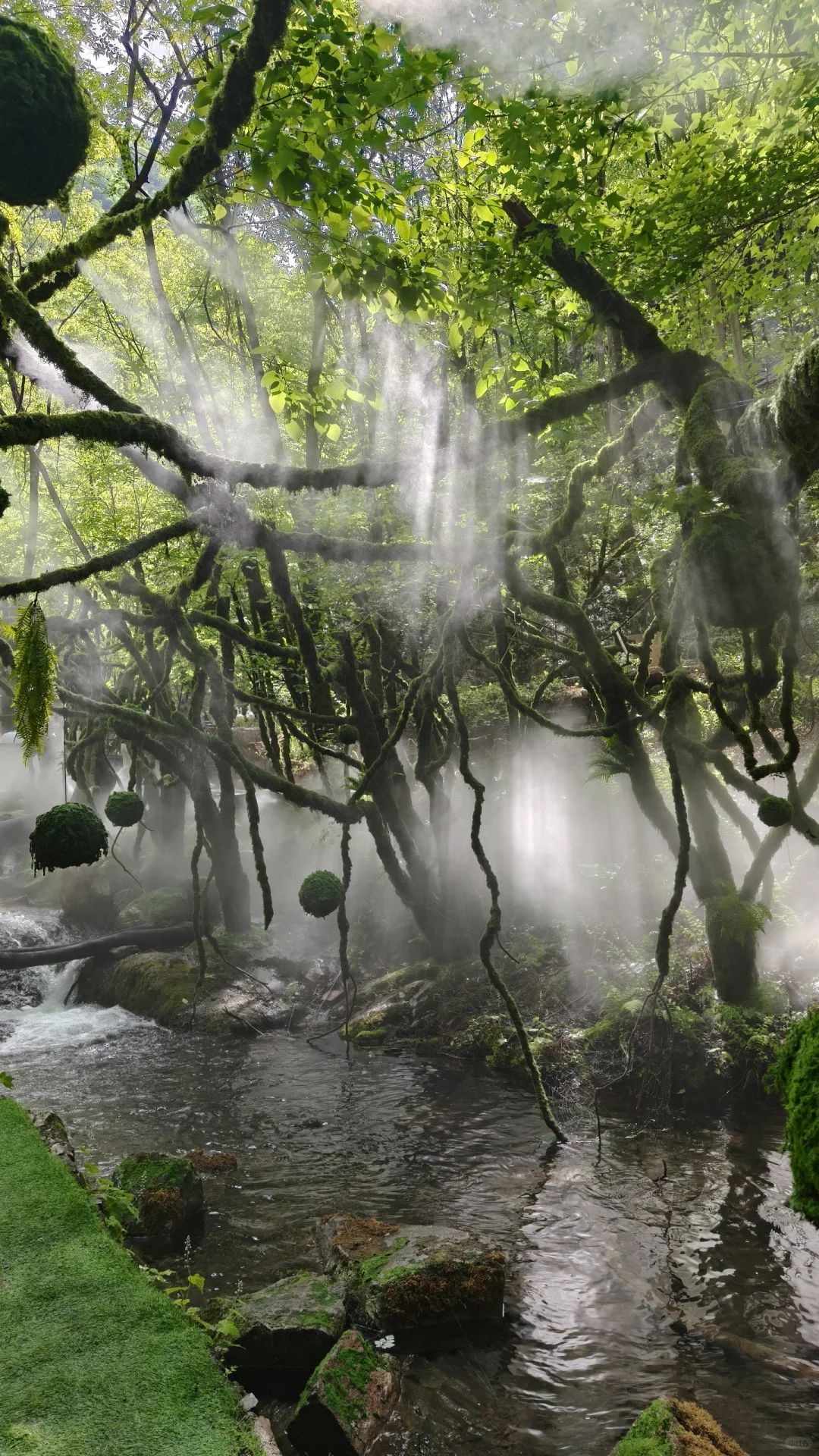 许昌周边每周一山⛰️之金鸡河