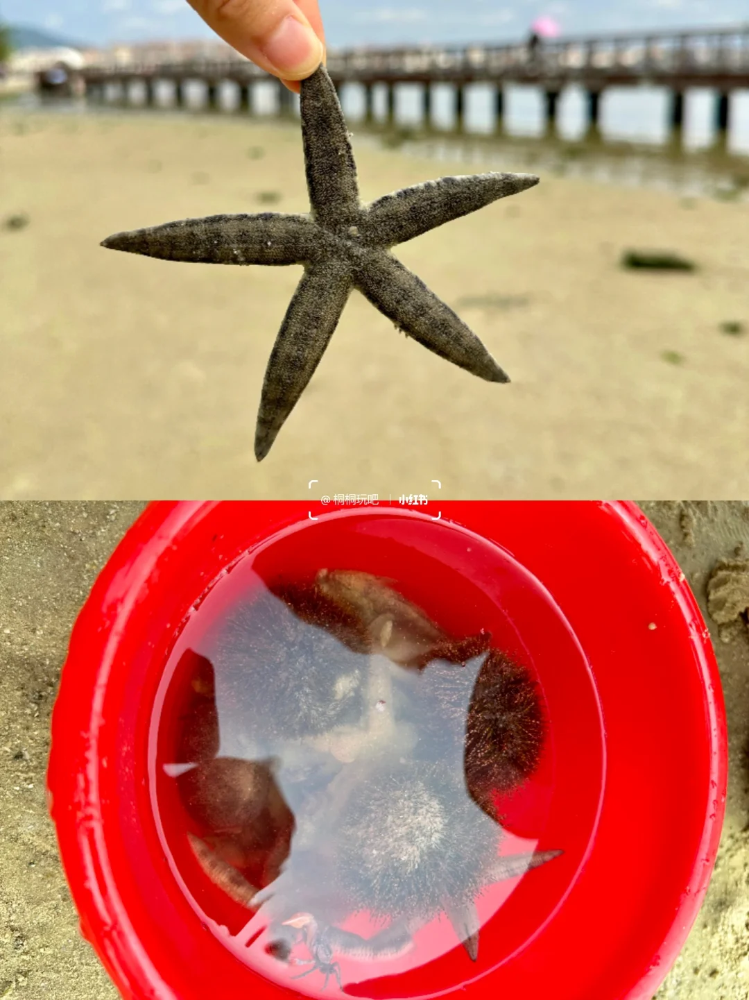 今年暑假，我只带娃去一个地方：陵水！🏖️