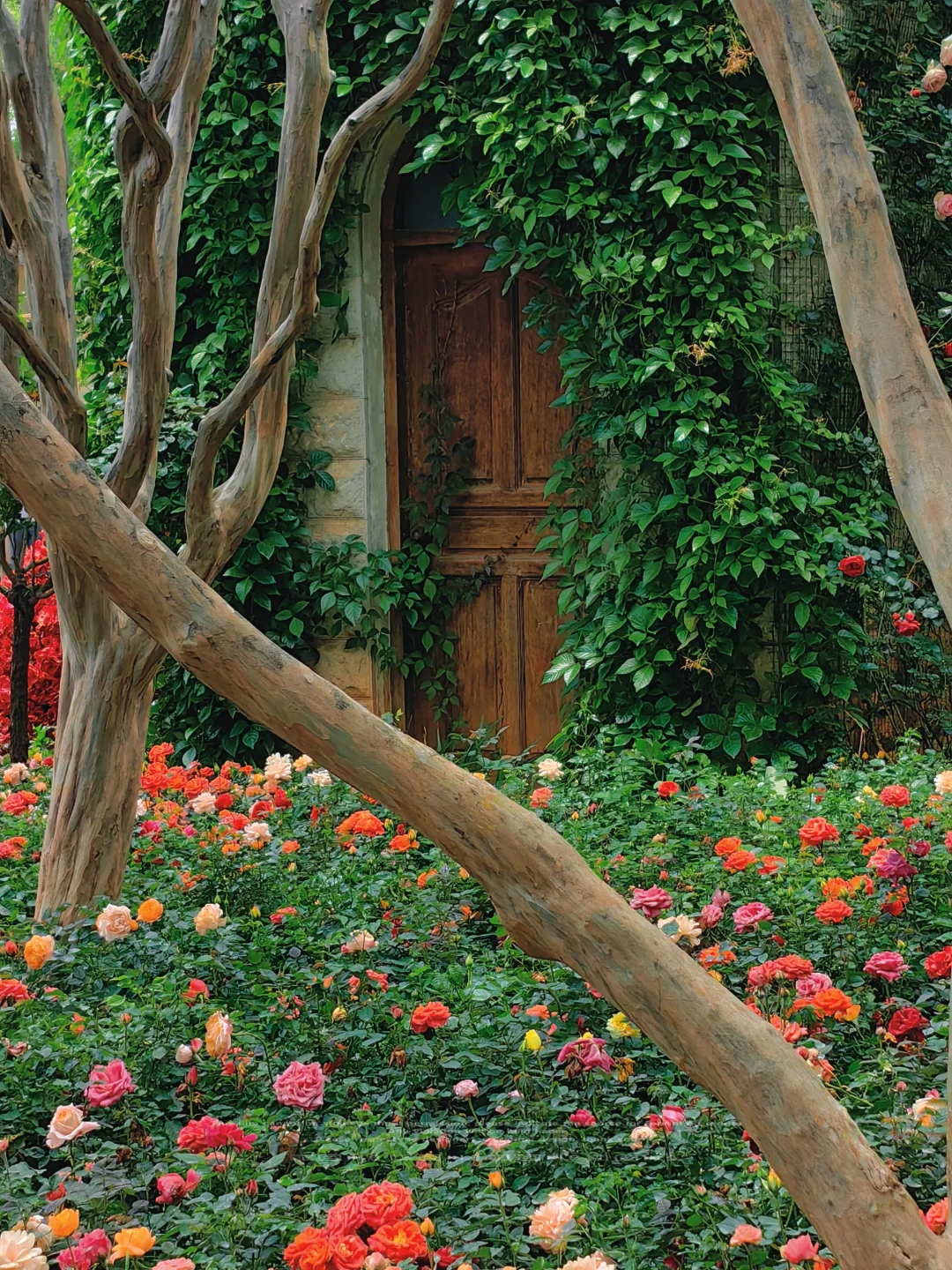 保姆级昆明旅游攻略 不起早 干货避雷分享