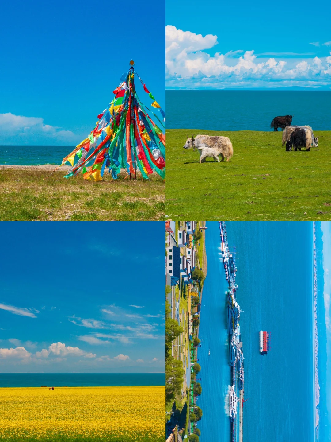 ✨学生党499💴玩转青海‼️两天一晚