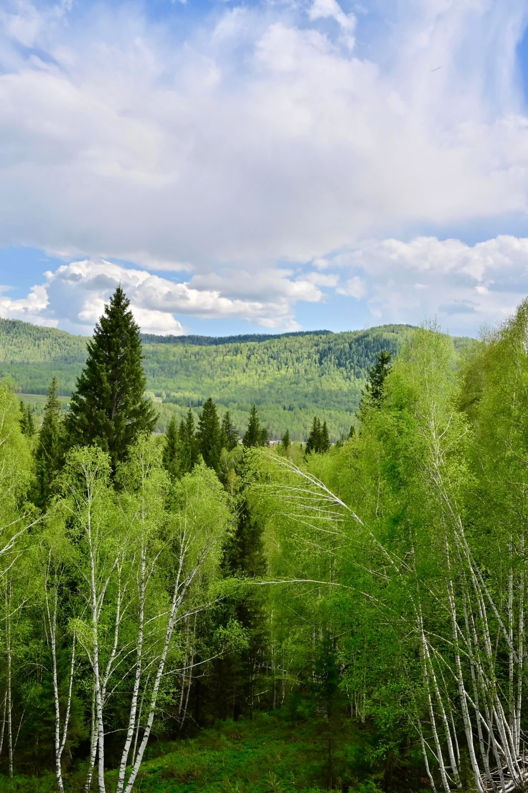 新疆北疆大环线旅游 02| 禾木村游玩攻略！