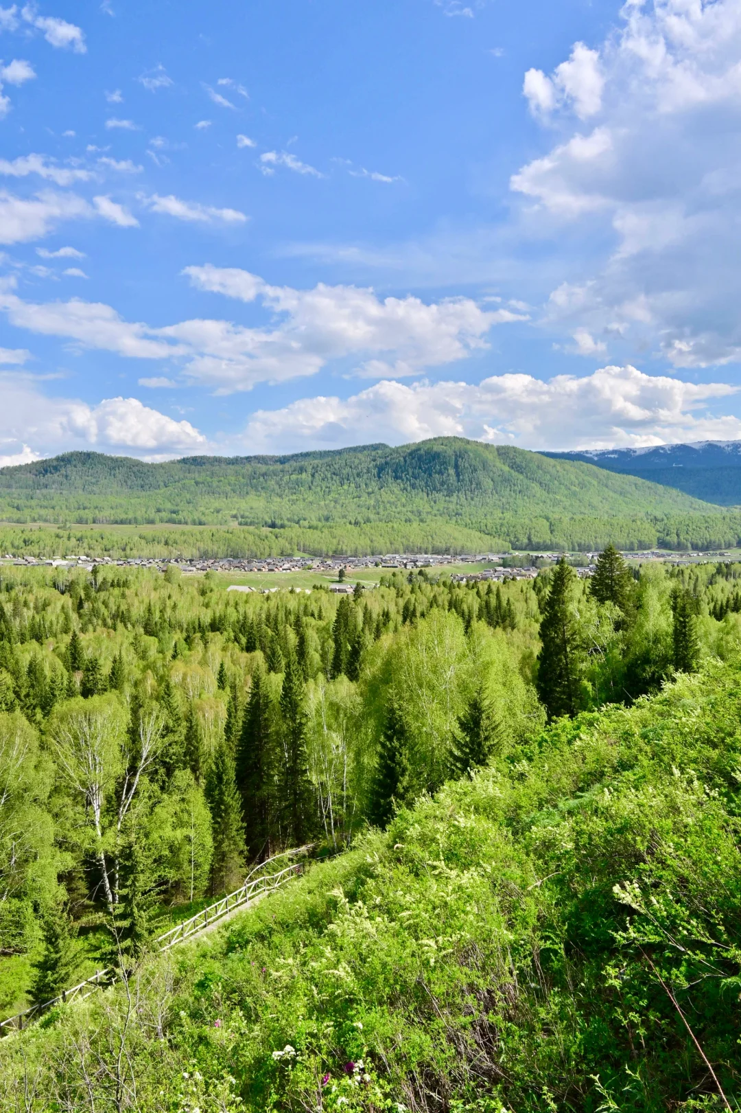 新疆北疆大环线旅游 02| 禾木村游玩攻略！