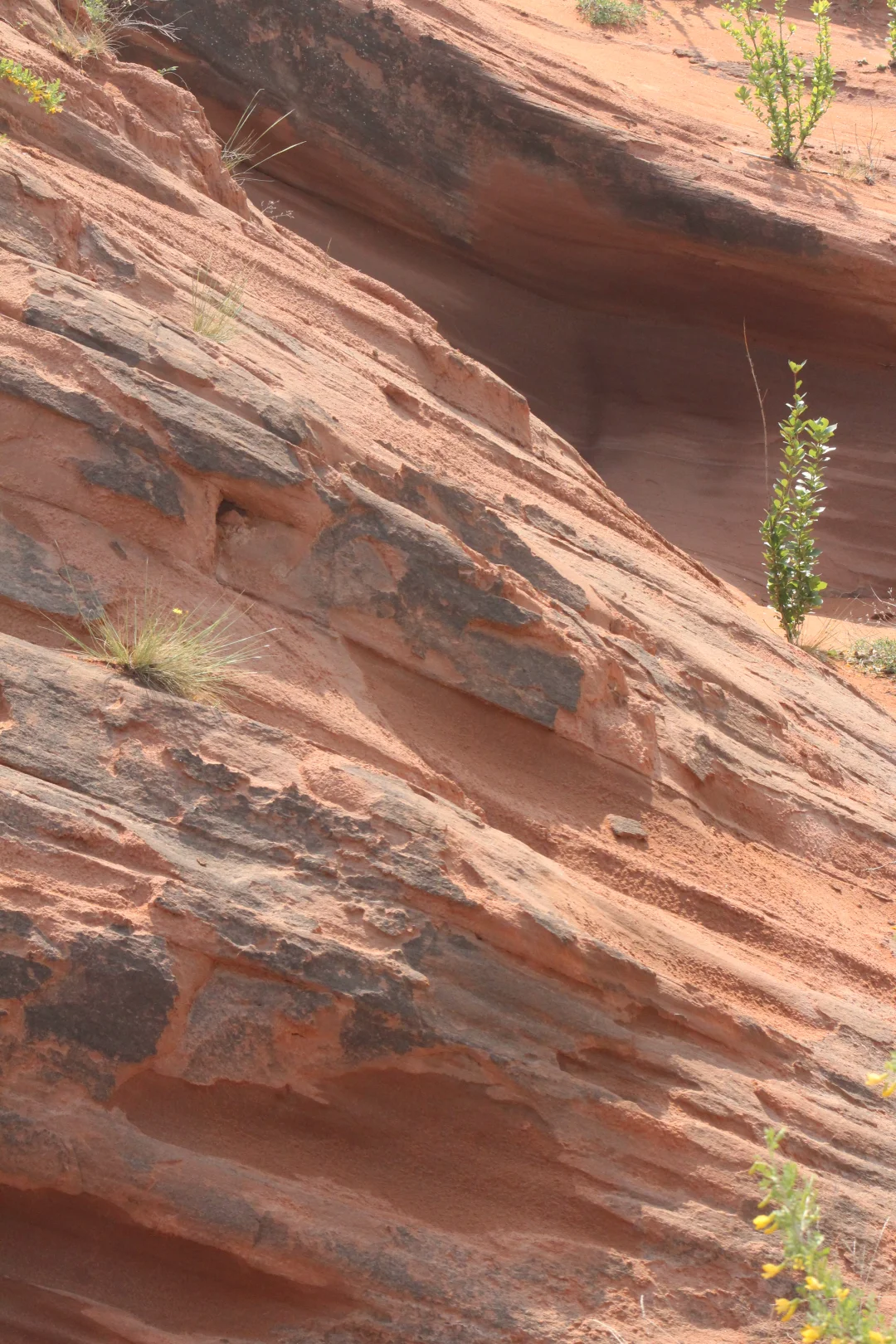 榆林波浪谷——戈壁的形状