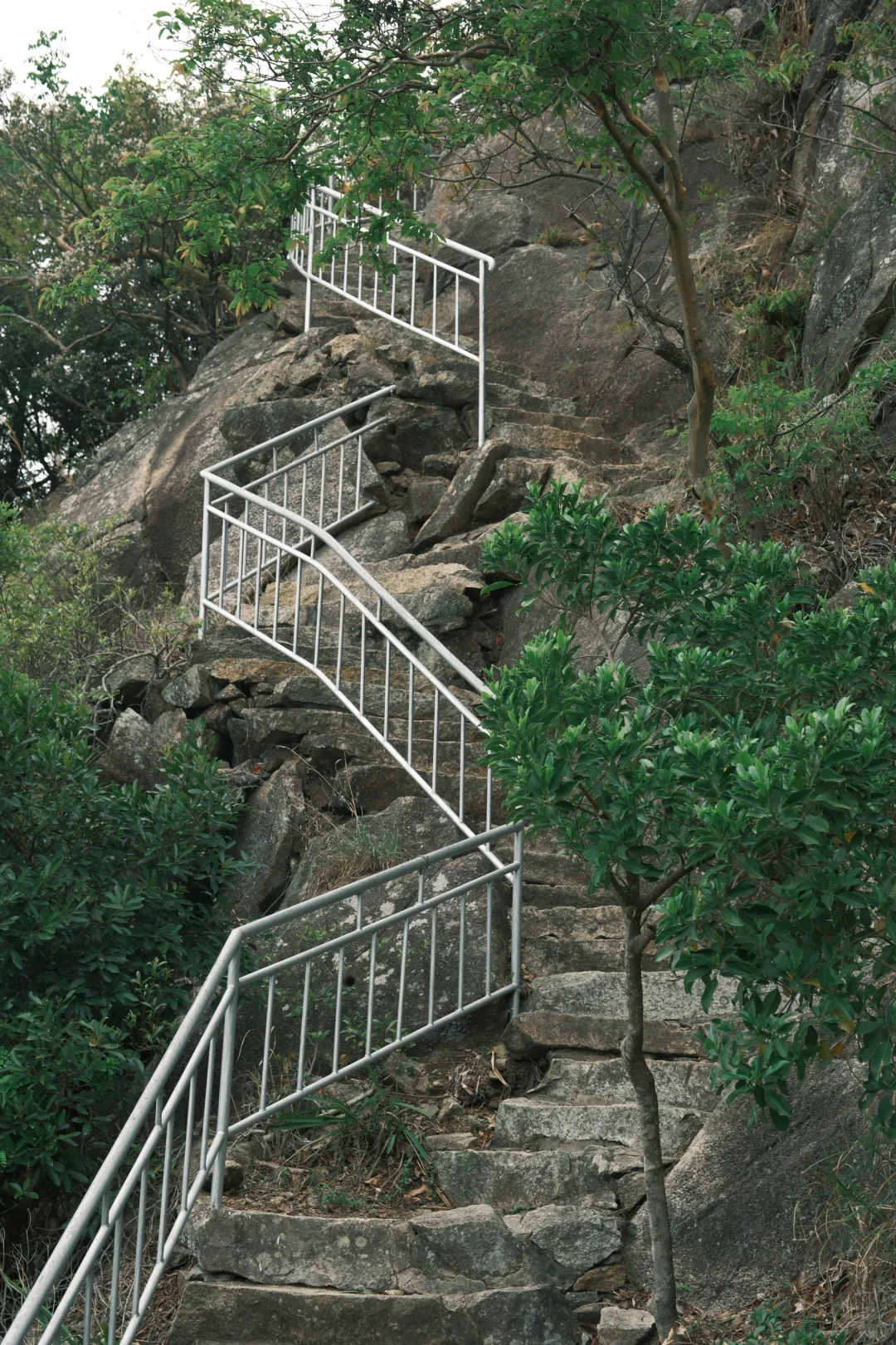 深圳📍 藏在森林的古塔秘境，仅1%知道