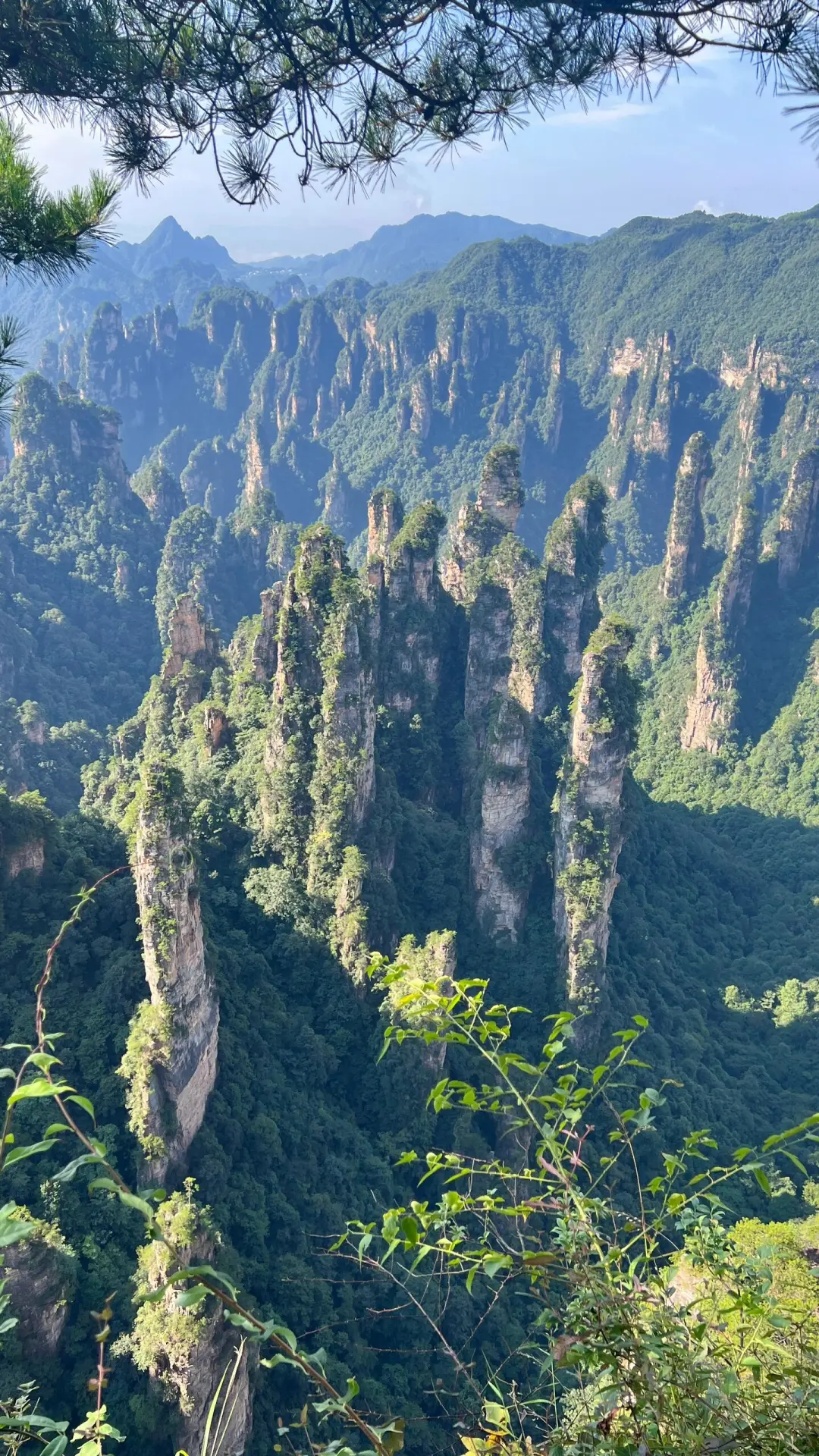 张家界及周边必玩景点Top8!仙境打卡全攻略