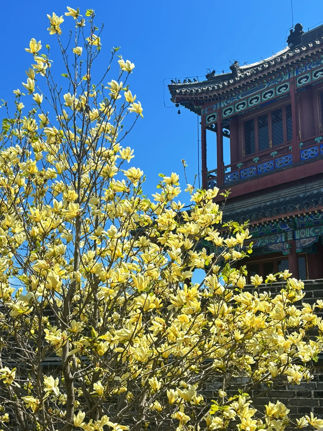 秦皇岛旅游，建议留一天时间给老龙头（附攻略