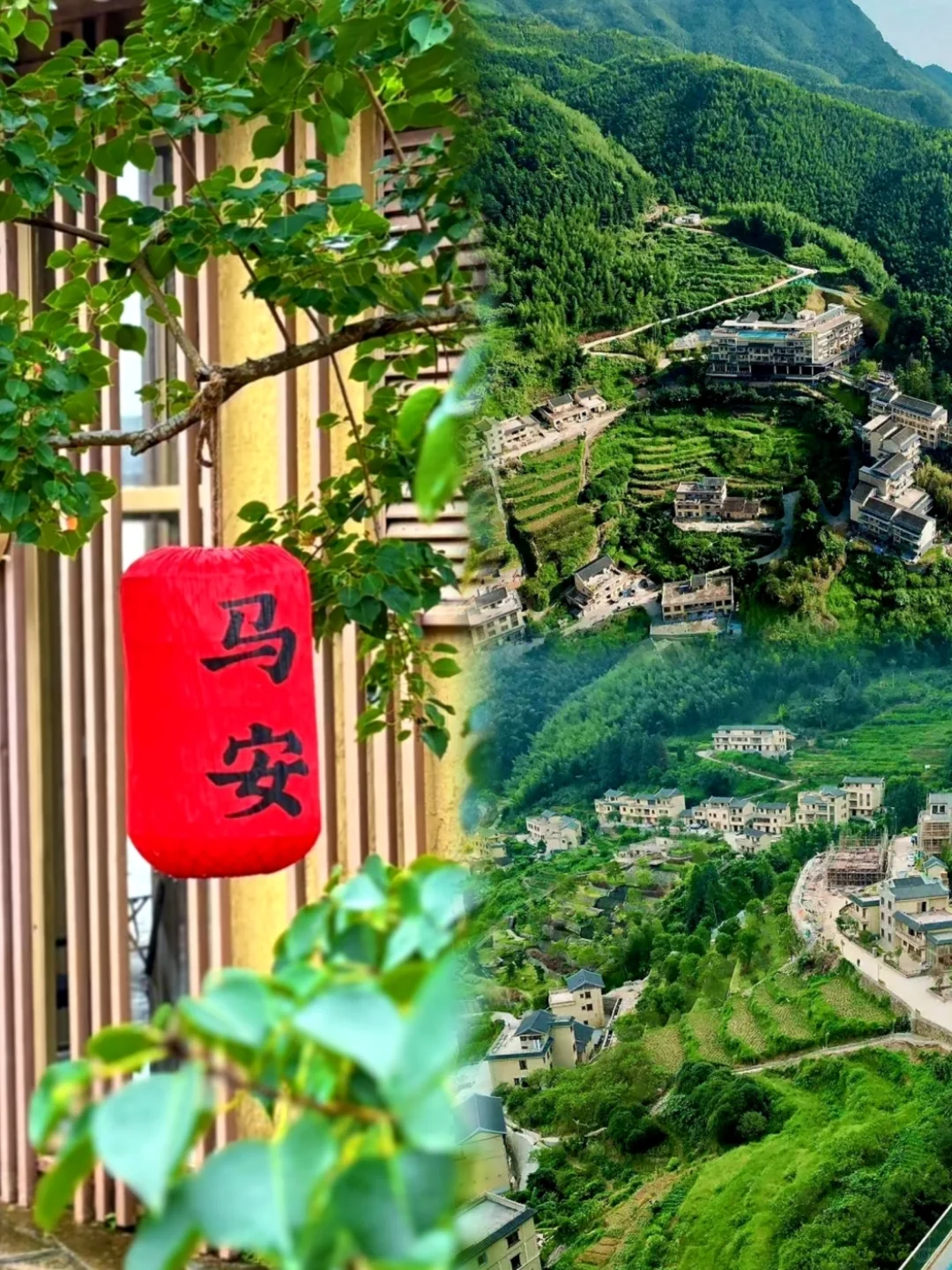 在广东发现了一个藏在竹海里的绝美世外桃源