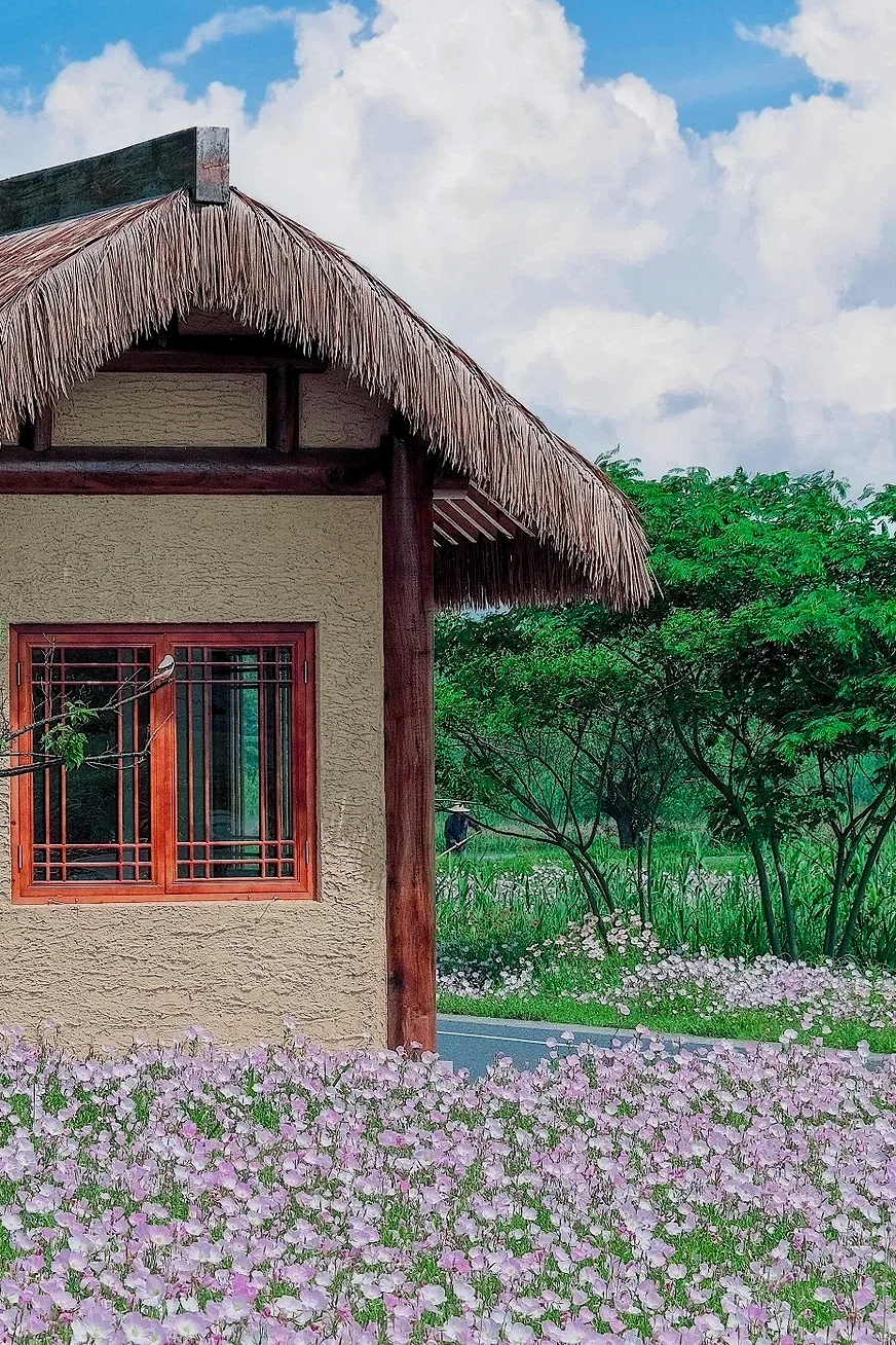 误入“宫崎骏漫画”世界