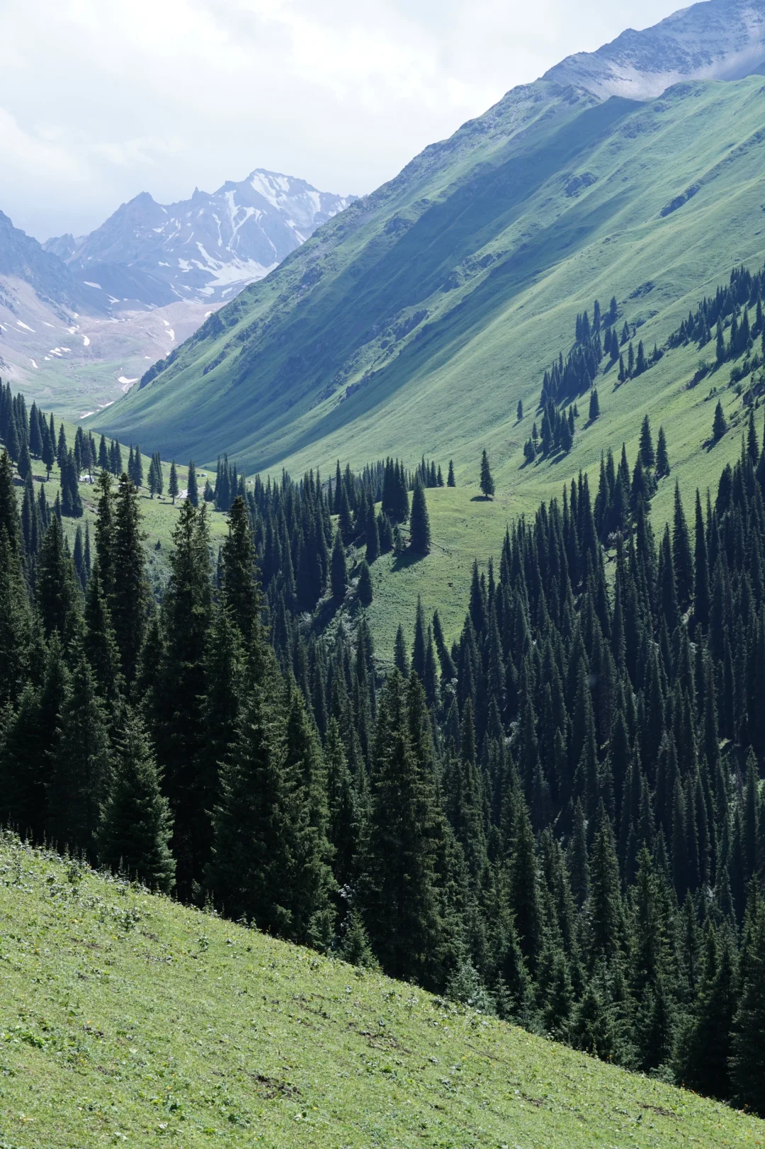 伊犁草原真没必要去太多