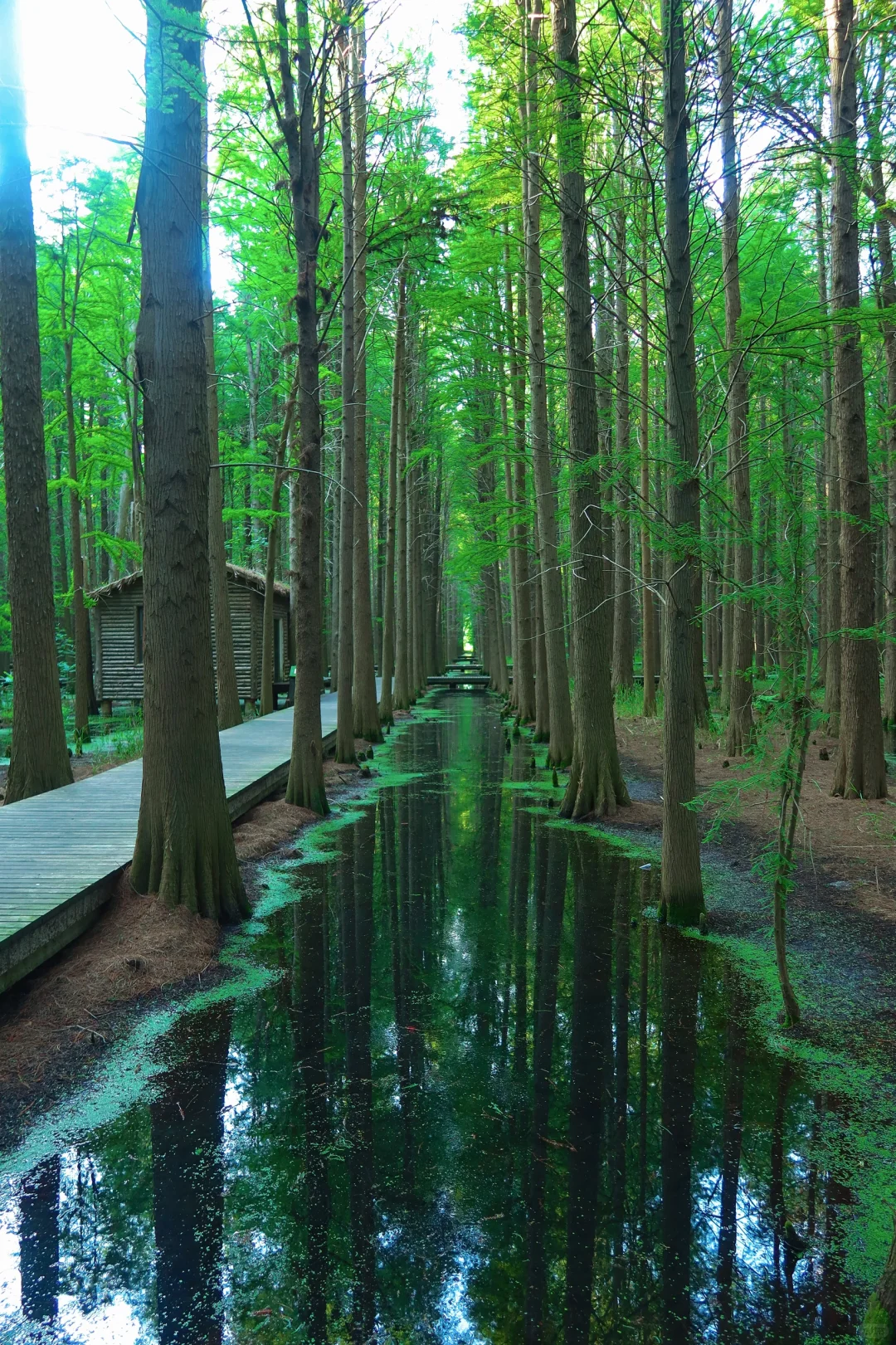 五一假期 | 淮安必打卡景点
