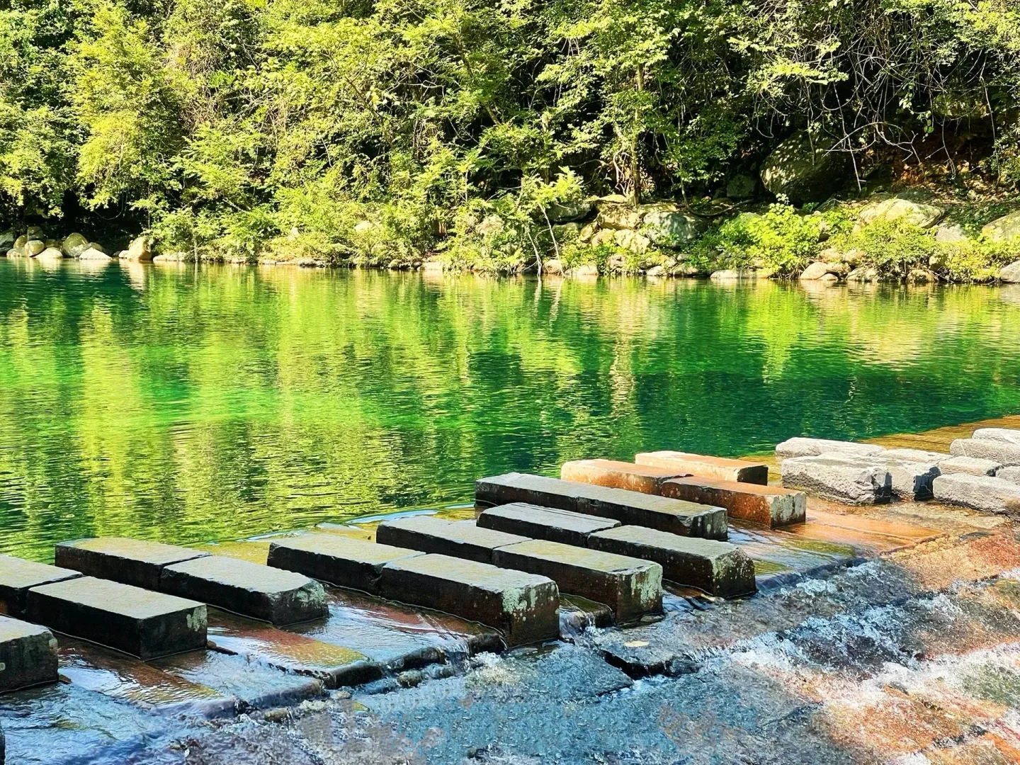 闯入5月绿野仙踪！