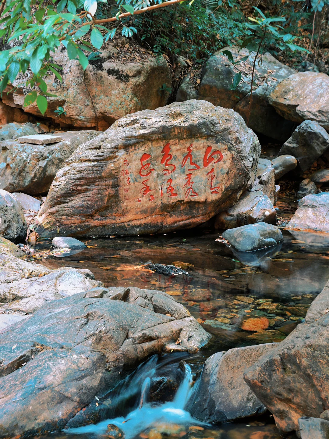 肇庆鼎湖山真的美到我心巴上了（省钱攻略！）