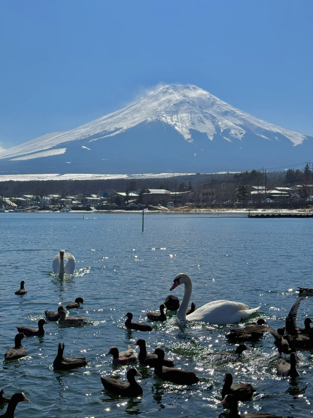 🇯🇵富士山打卡攻略🗻机位美食这一篇就够啦