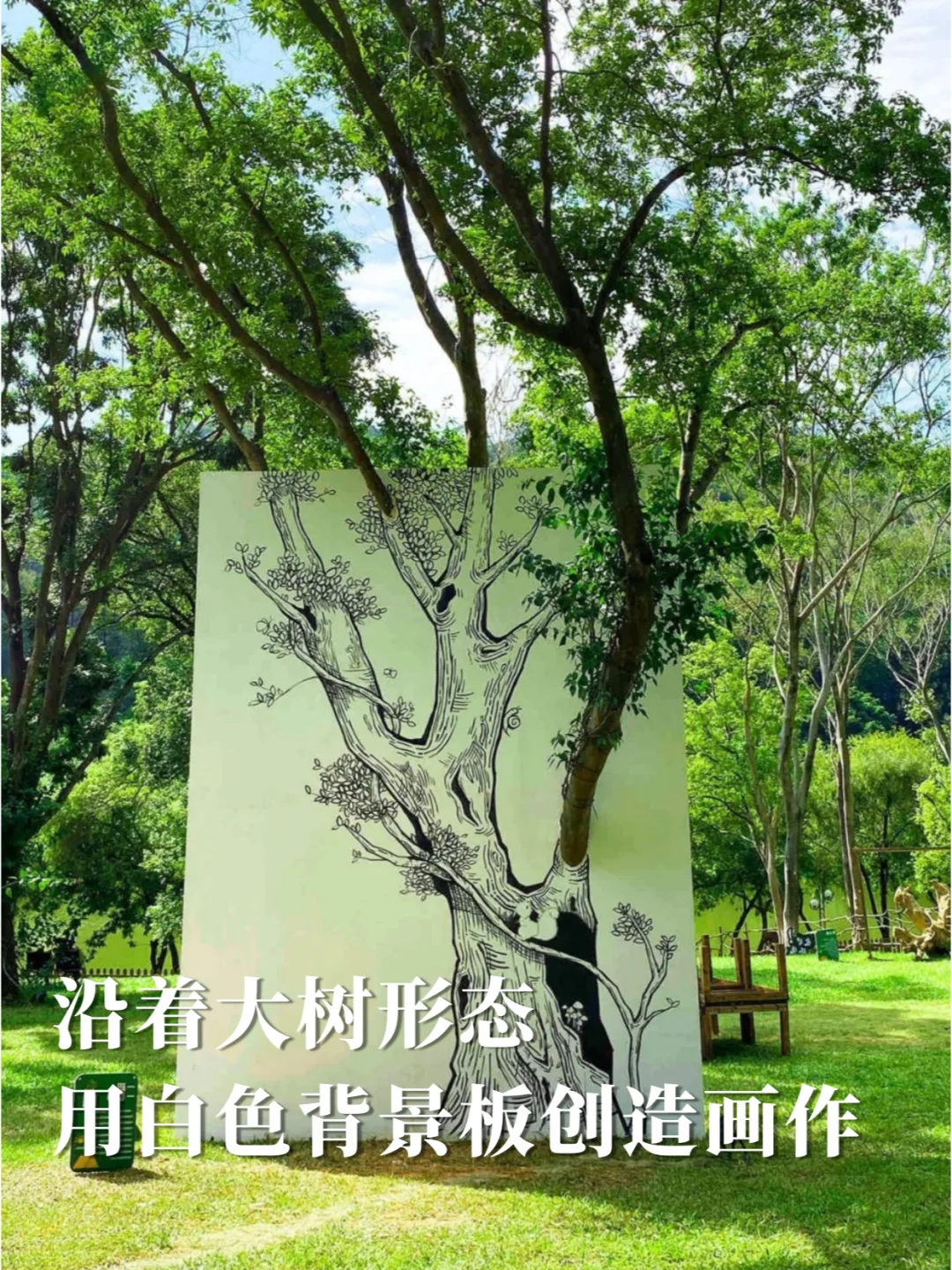 如果你有一棵树，怎么打造网红场景？