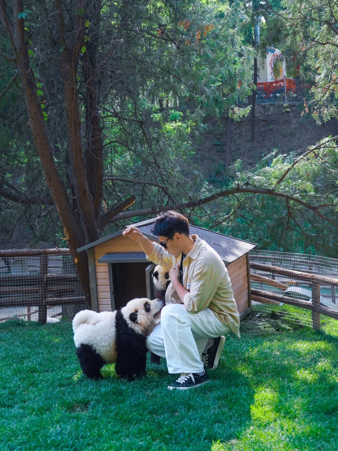 25年的淄博成旅游城市了🔥本地人都愣住了