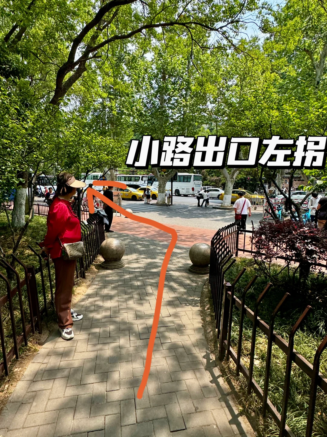 南京梧桐大道网红桥打卡路线指南（步行版）