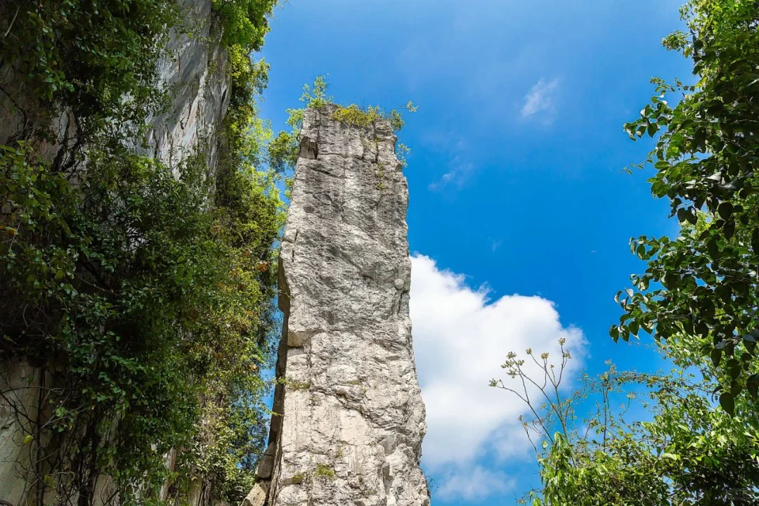 车进三峡人家旅游攻略‼️