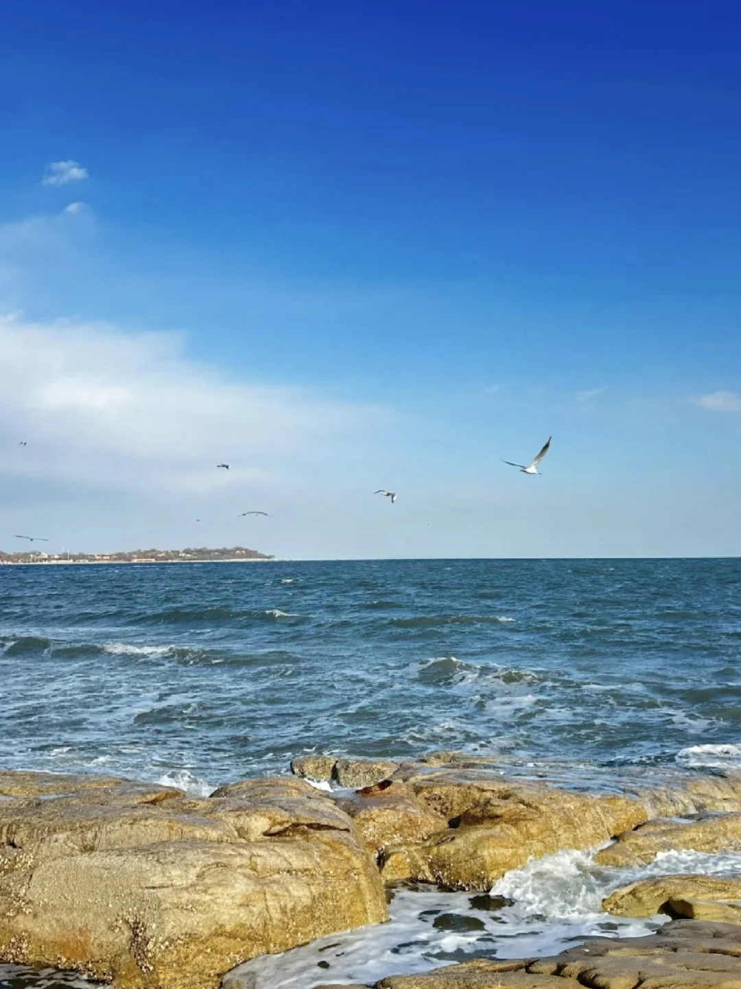 秦皇岛宝藏旅游攻略 | 北方海滨度假天堂