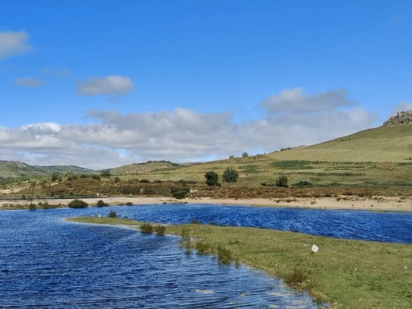 河北已回,我的建议是……