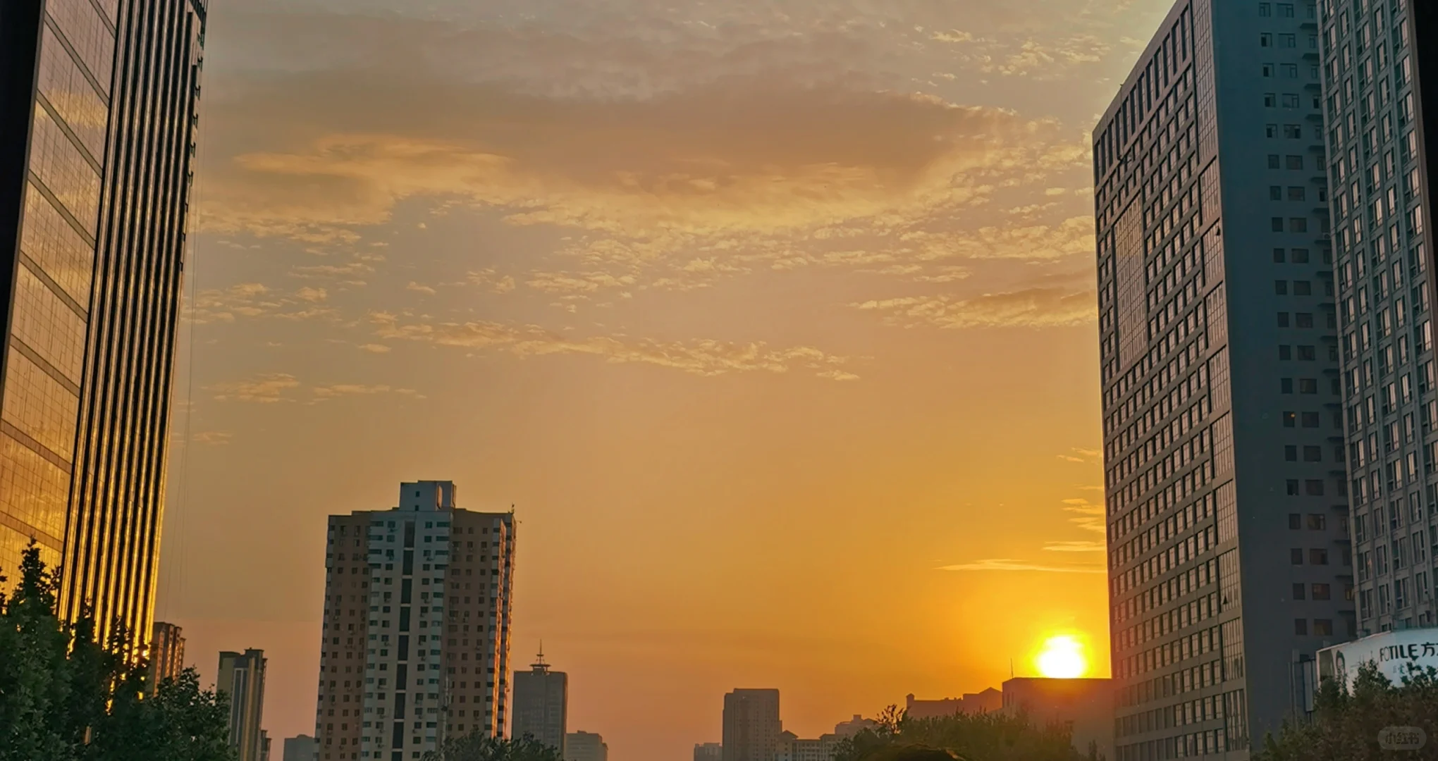 到了邯郸才懂了它的美