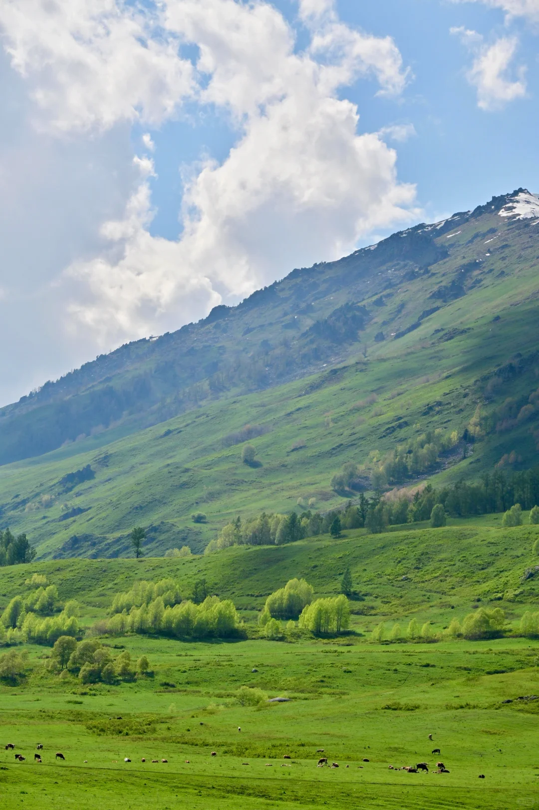 新疆北疆大环线旅游 02| 禾木村游玩攻略！