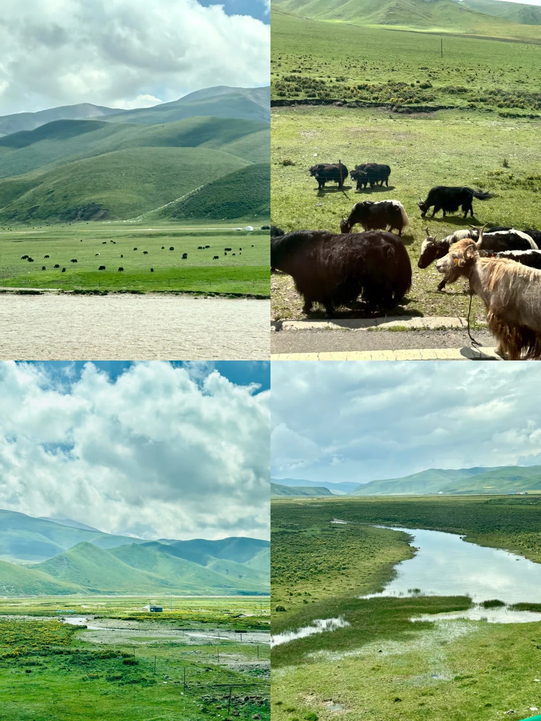 ✨学生党499💴玩转青海‼️两天一晚