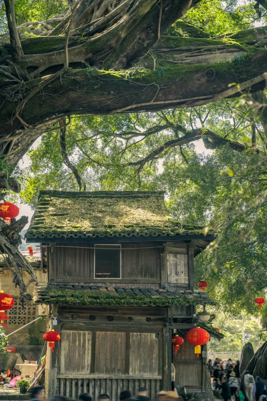 比起厦门我更爱这座6️⃣0️⃣0️⃣年历史的古镇