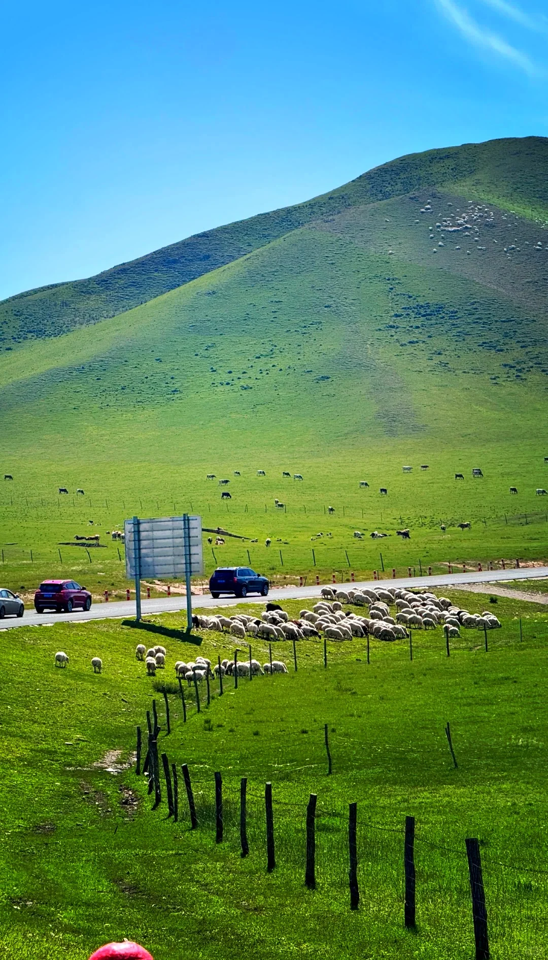 端午｜热阿达达乌兰布统紧凑旅游路线攻略‼️
