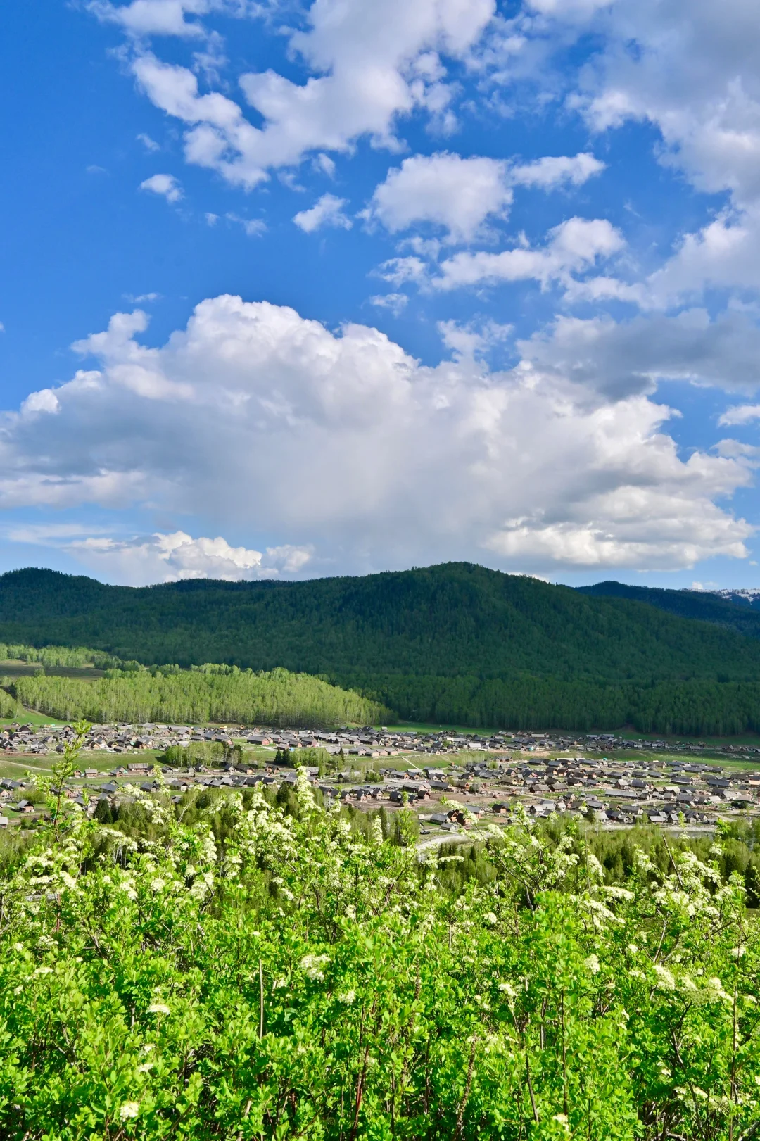 新疆北疆大环线旅游 02| 禾木村游玩攻略！