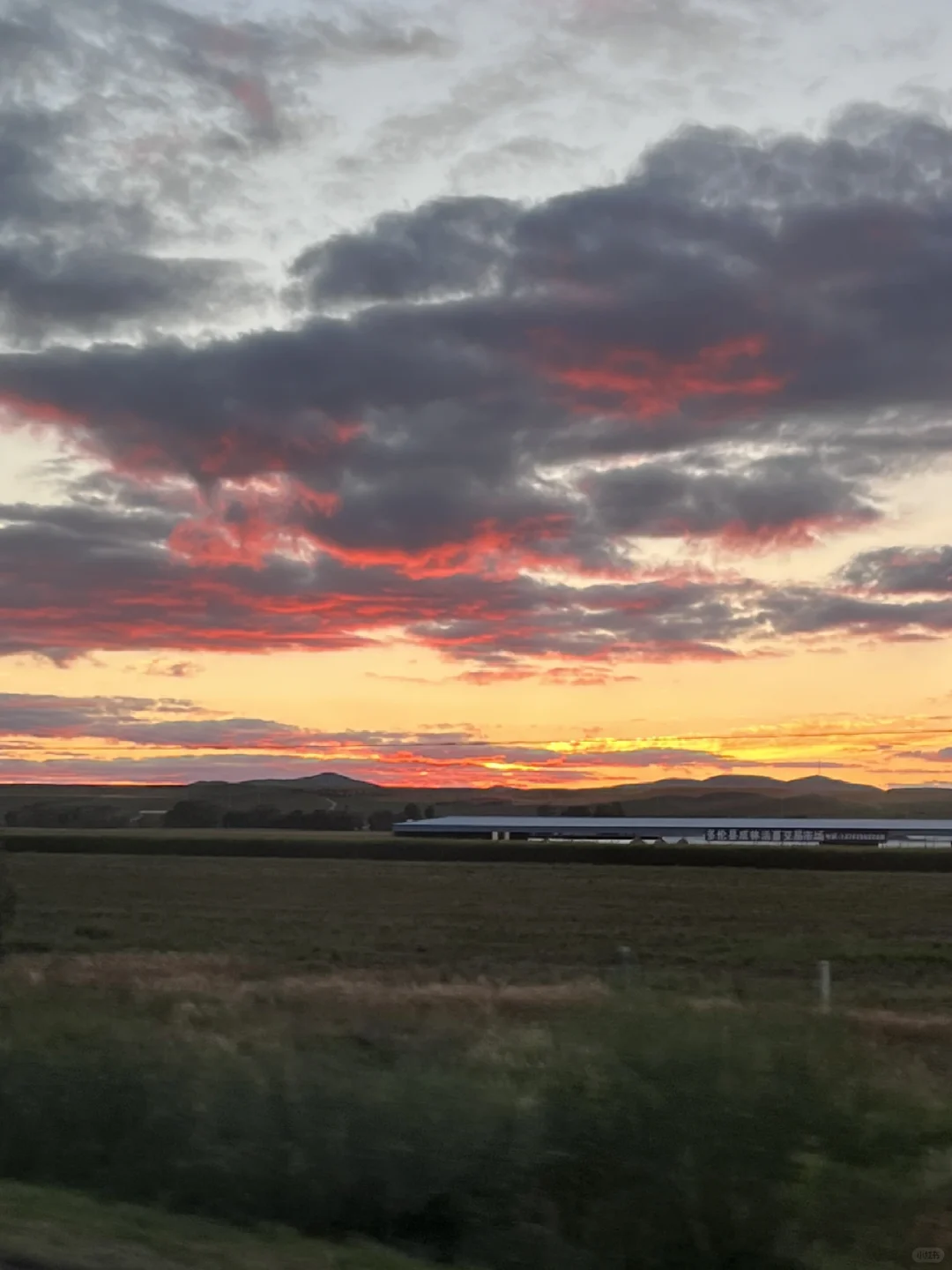 河北已回,我的建议是……