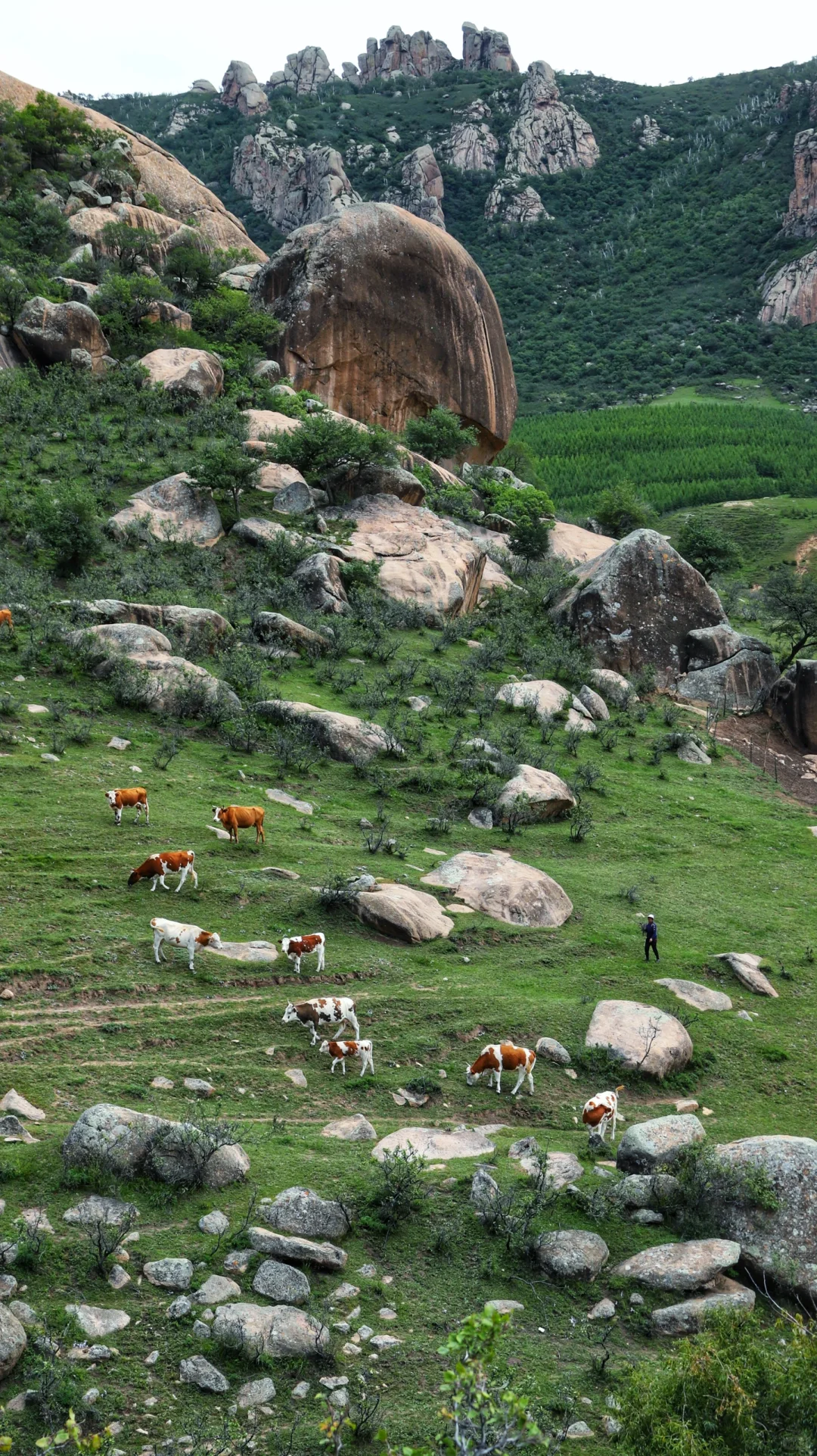 突然火爆的大青山 成为今年北京户外圈压轴