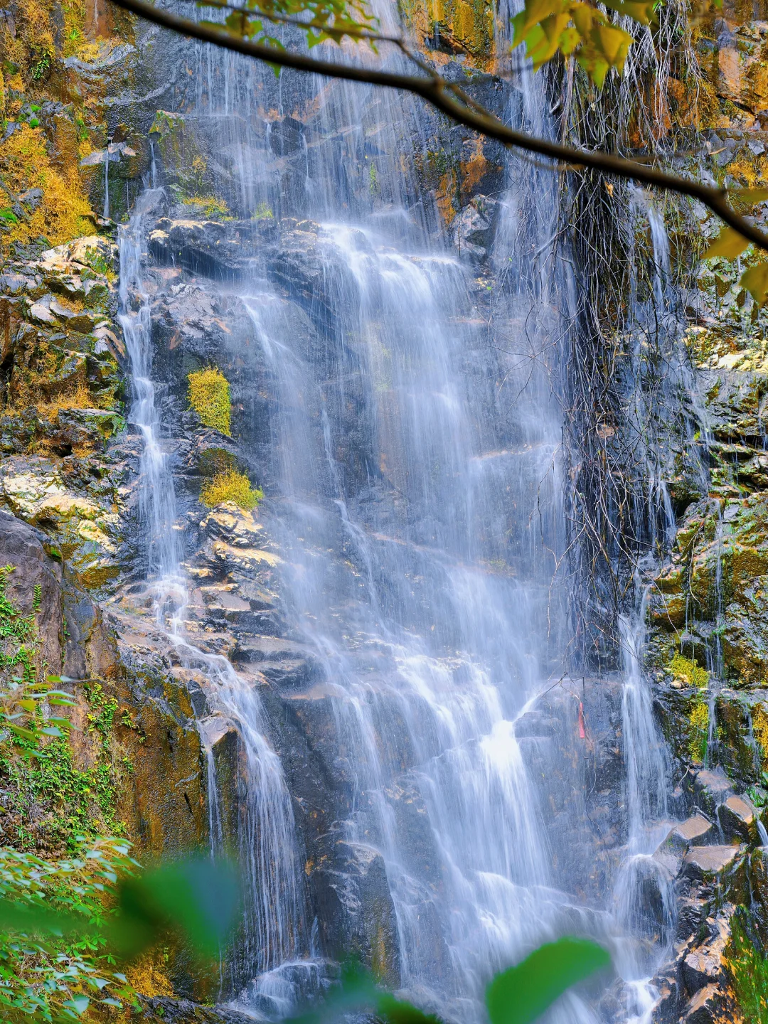 肇庆鼎湖山真的美到我心巴上了（省钱攻略！）