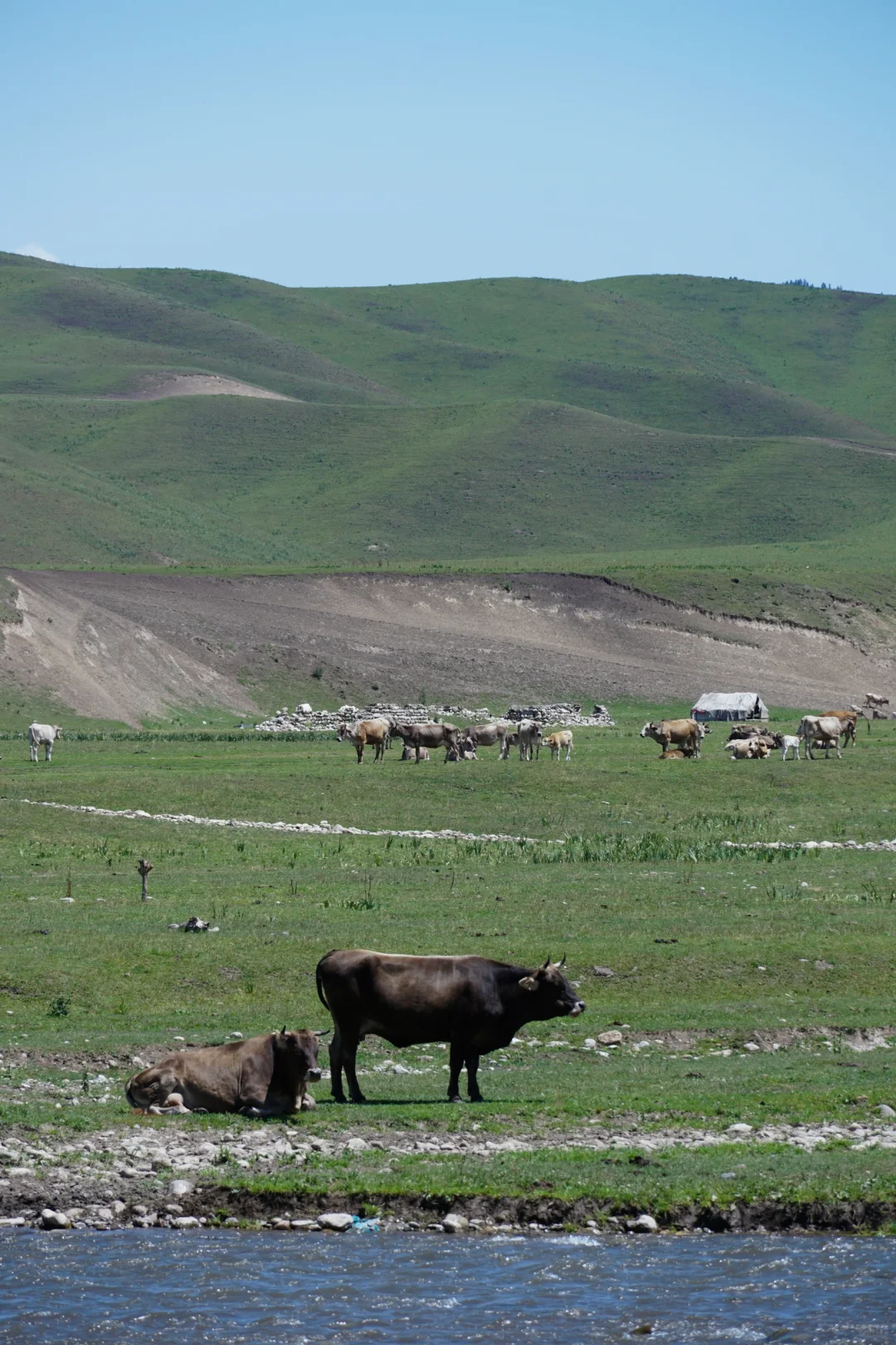 伊犁草原真没必要去太多