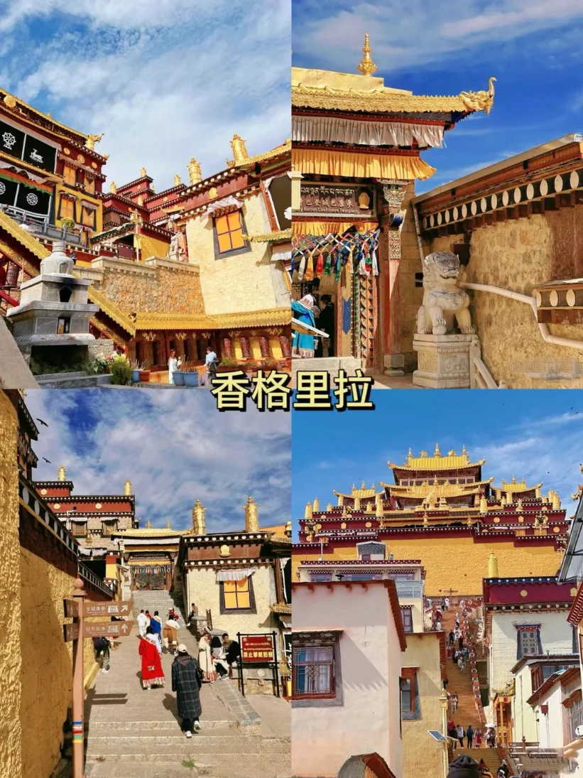 🌴云南旅游攻略✨让你玩得尽兴又省钱💰