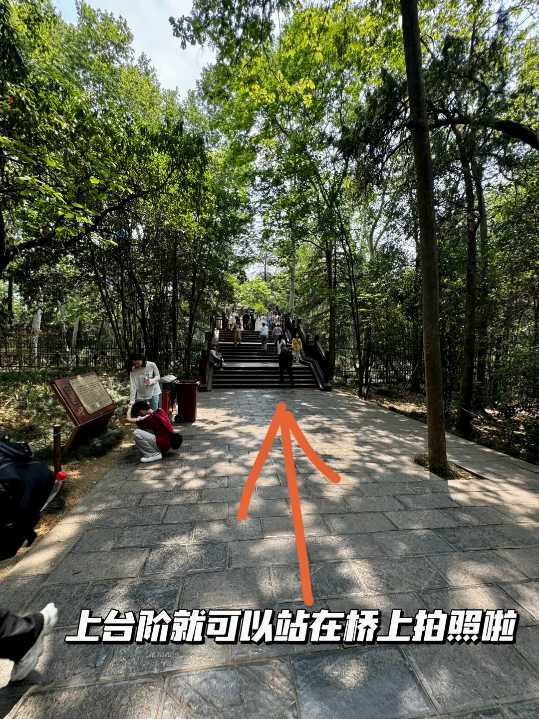 南京梧桐大道网红桥打卡路线指南（步行版）