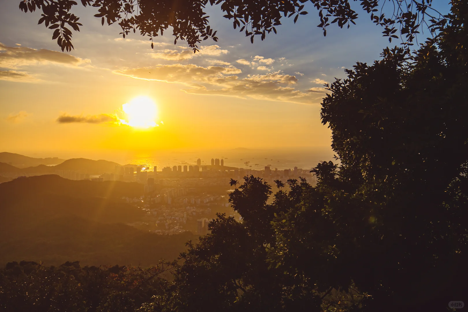 端午&六一省钱攻略，学生党、打工人速码！