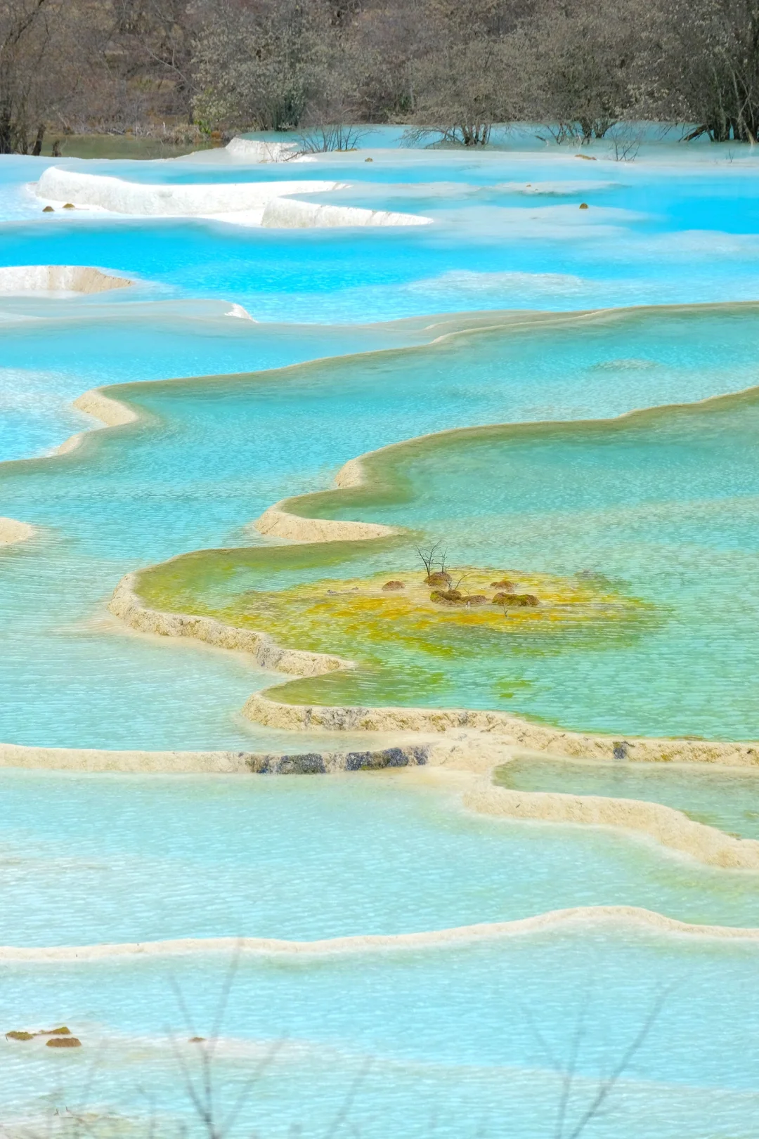 枯水期的黄龙真的不值得去吗