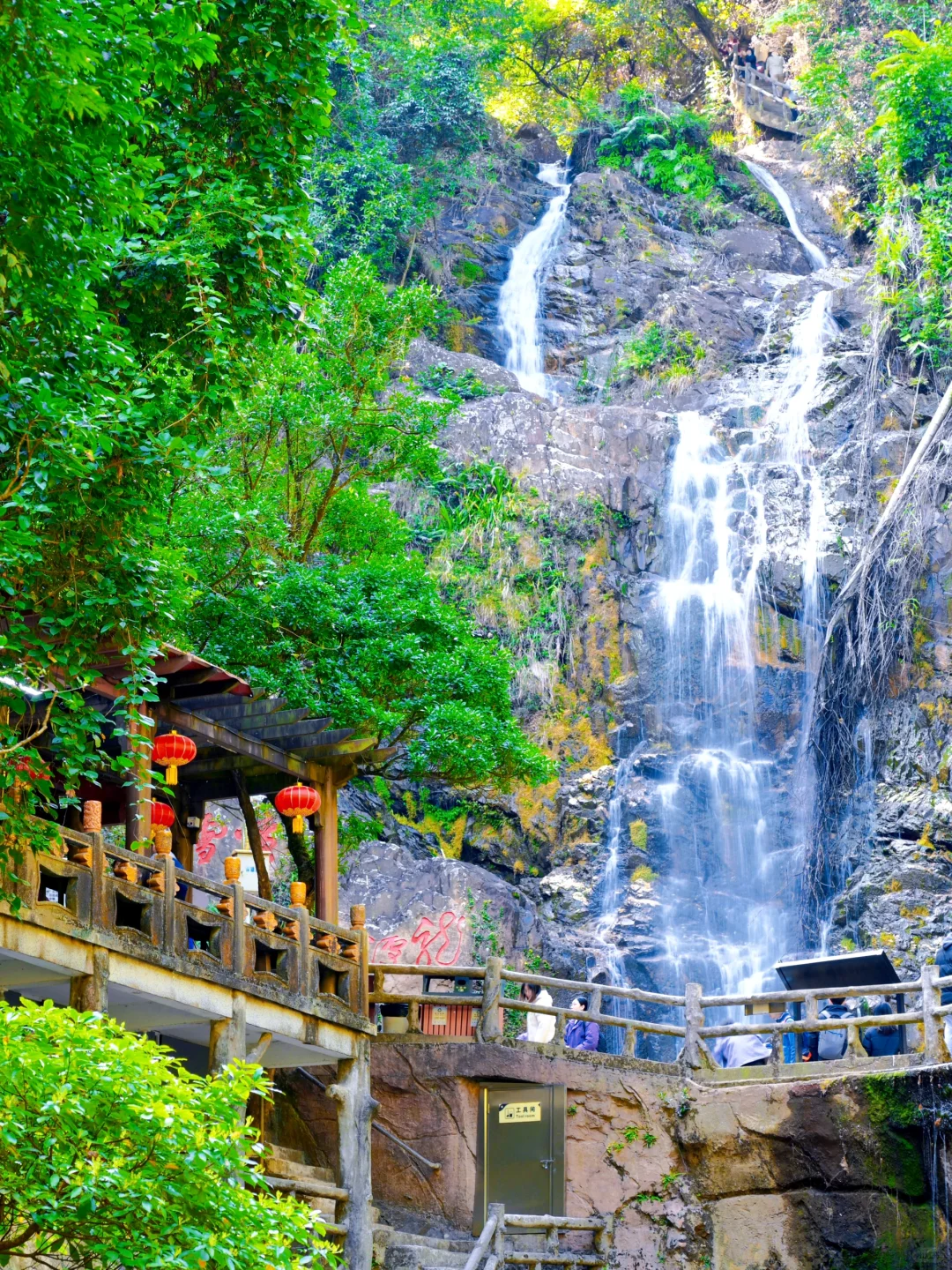 肇庆鼎湖山真的美到我心巴上了（省钱攻略！）