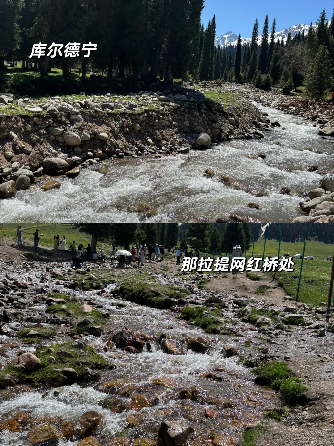 知道大家为什么避雷那拉提了（不是避雷帖）